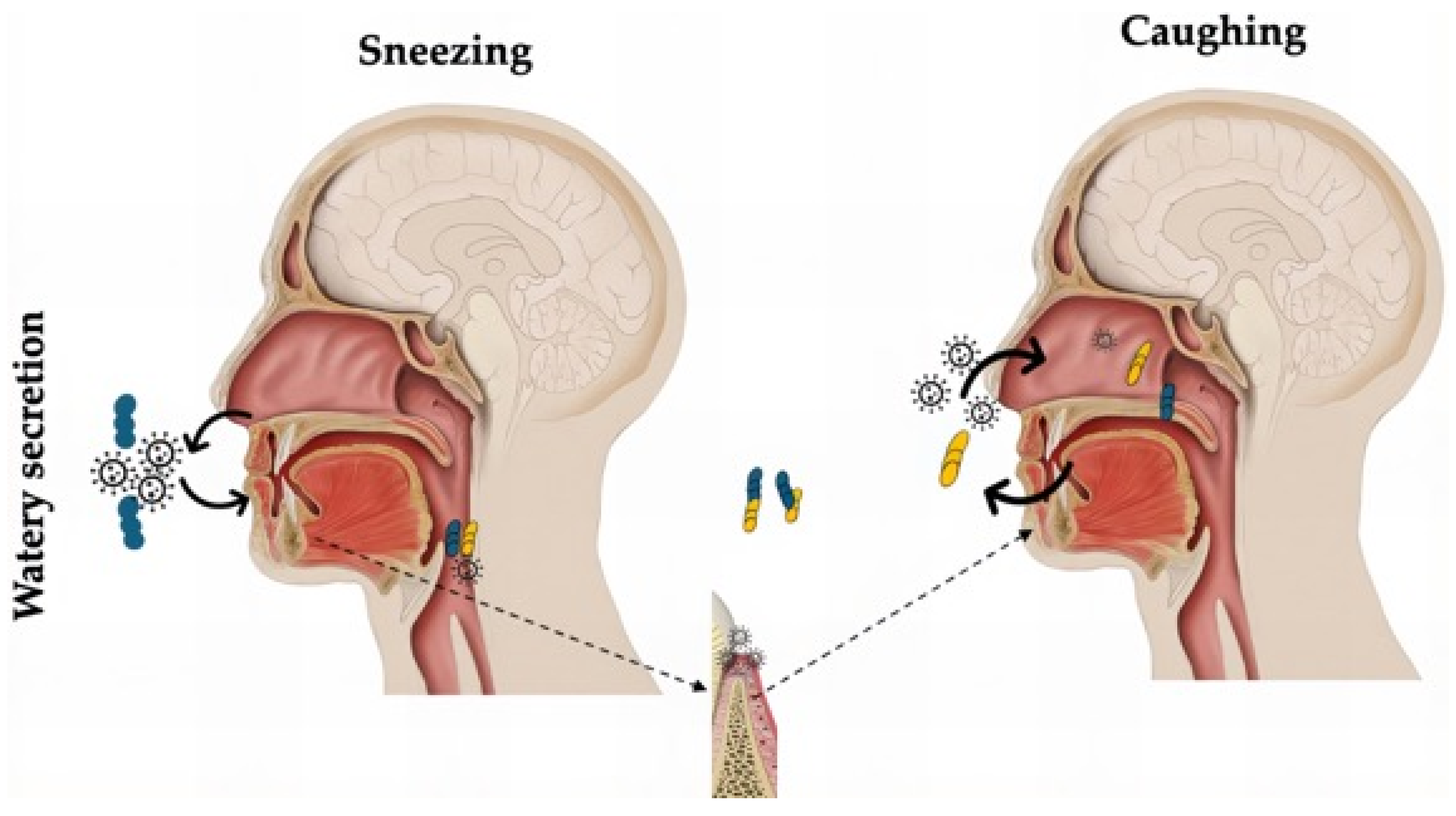 Diagnostics 15 01650 g003