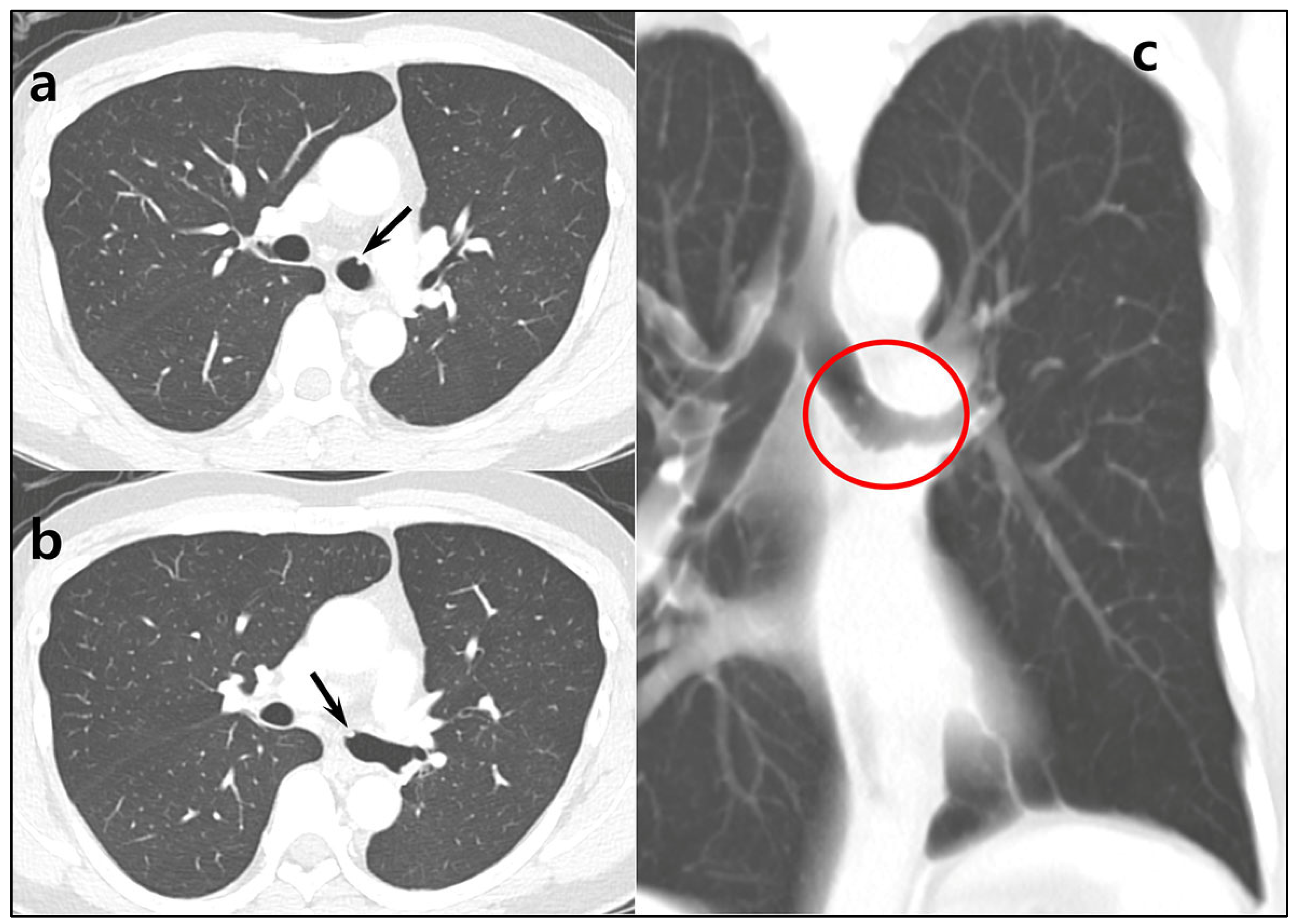 Diagnostics 15 01651 g003