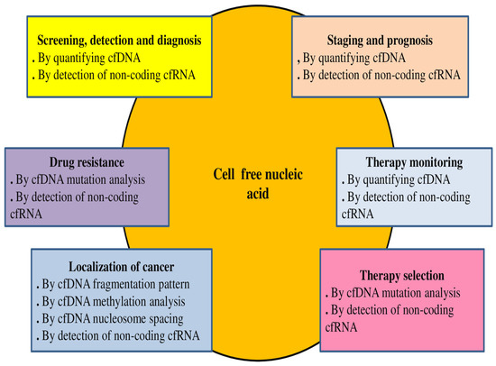 Role of Liquid Biopsy for Early Detection, Prognosis, and Therapeutic ...