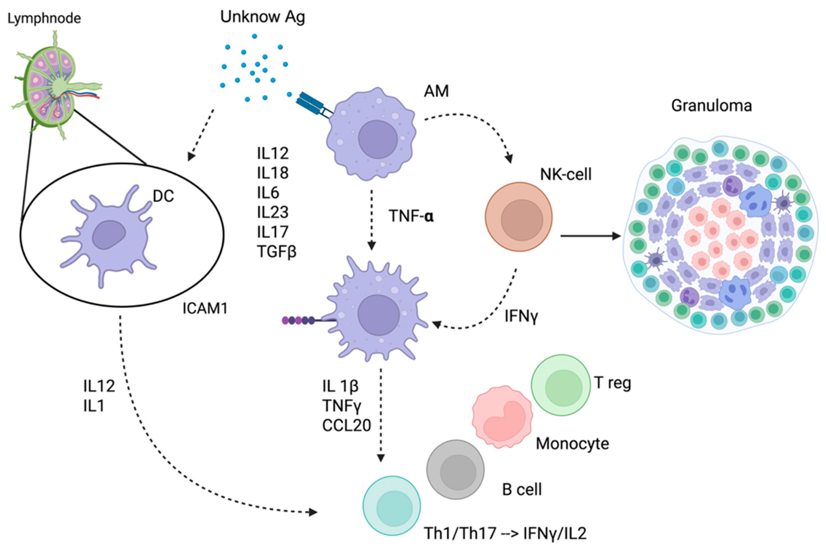 Diagnostics 15 01658 g001