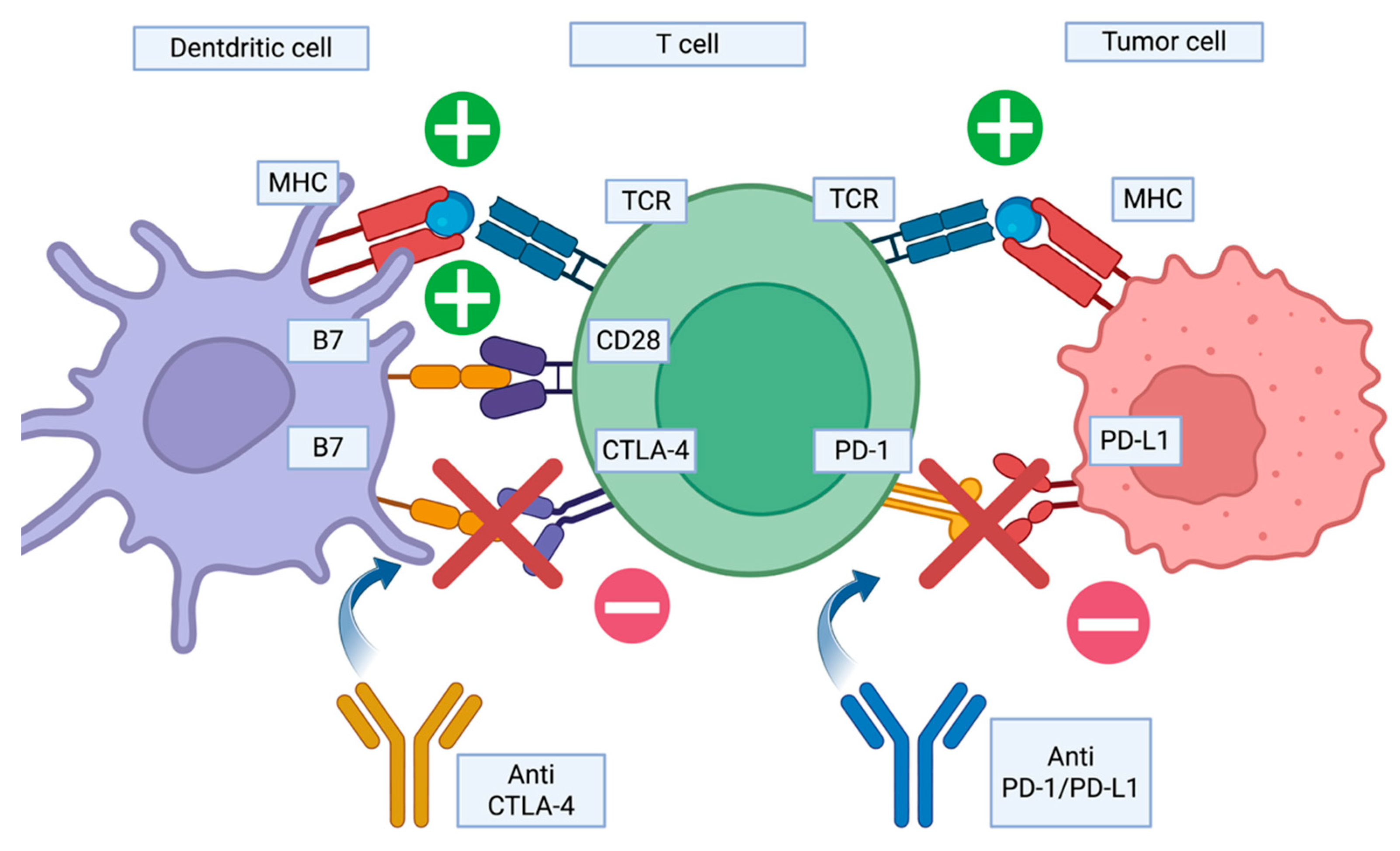 Diagnostics 15 01658 g002
