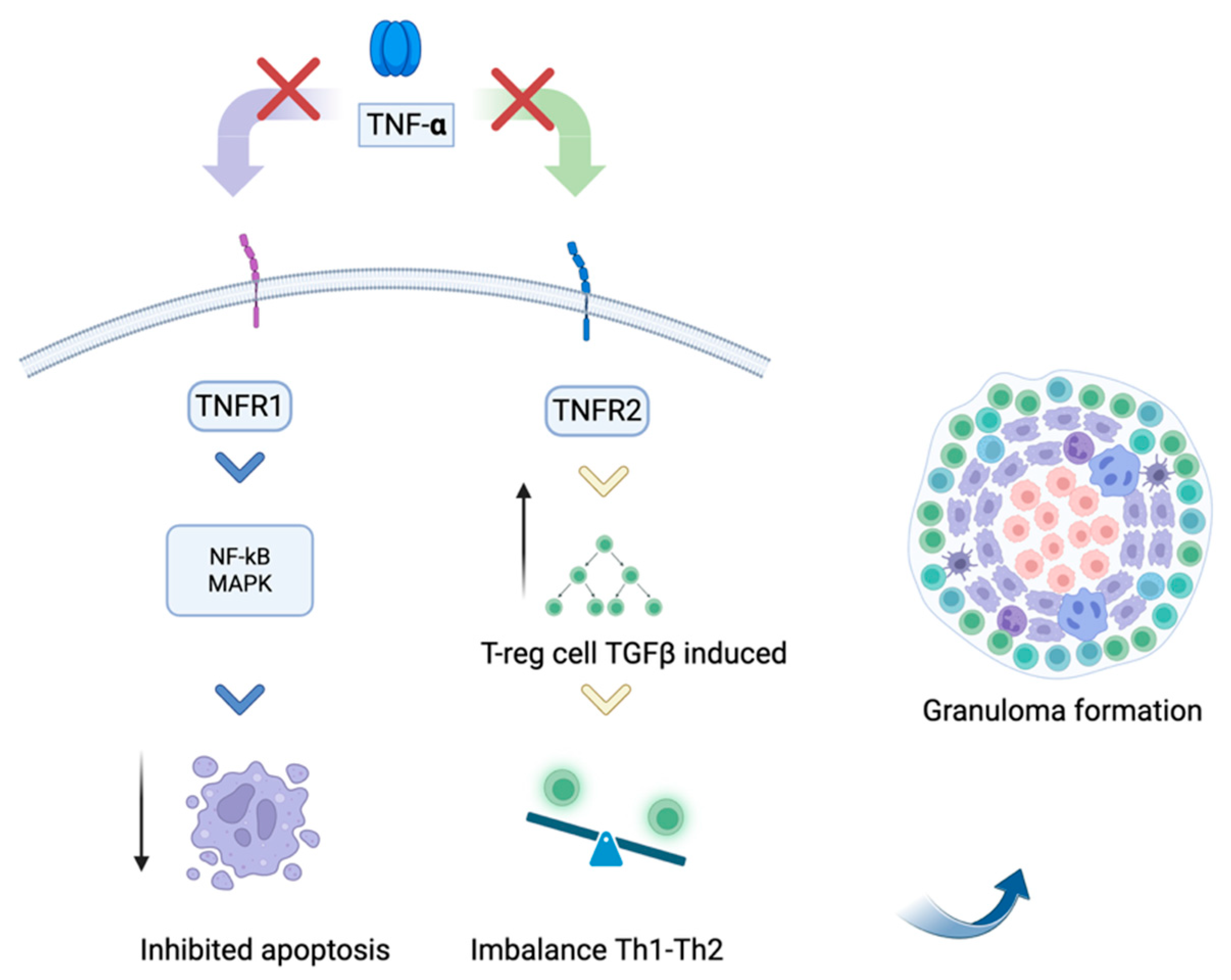 Diagnostics 15 01658 g003
