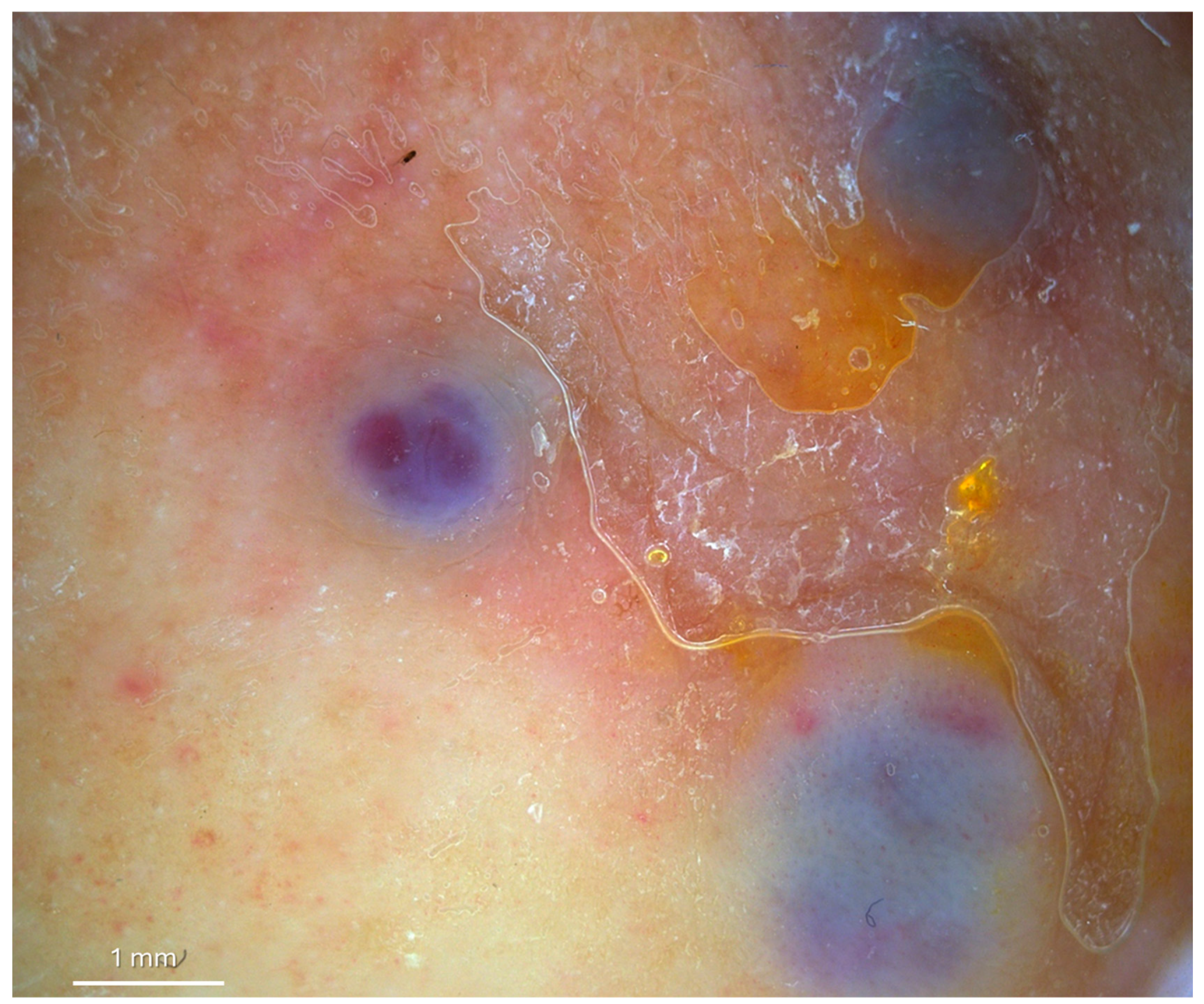 Diagnostics 15 01665 g002