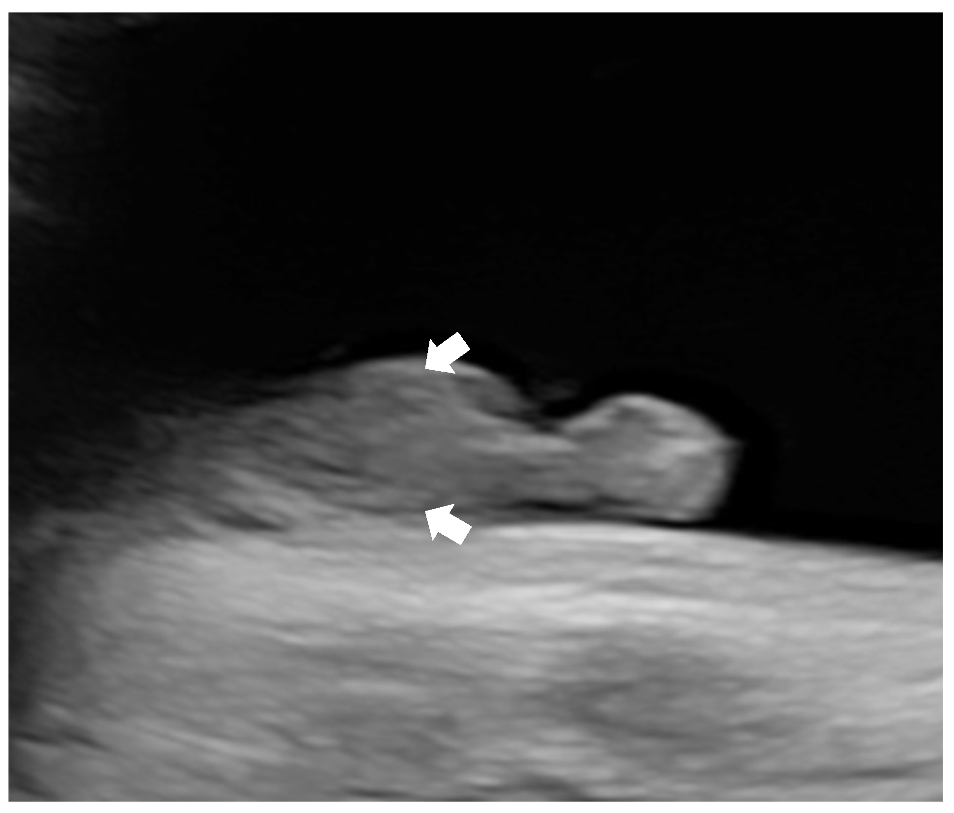 Diagnostics 15 01666 g002