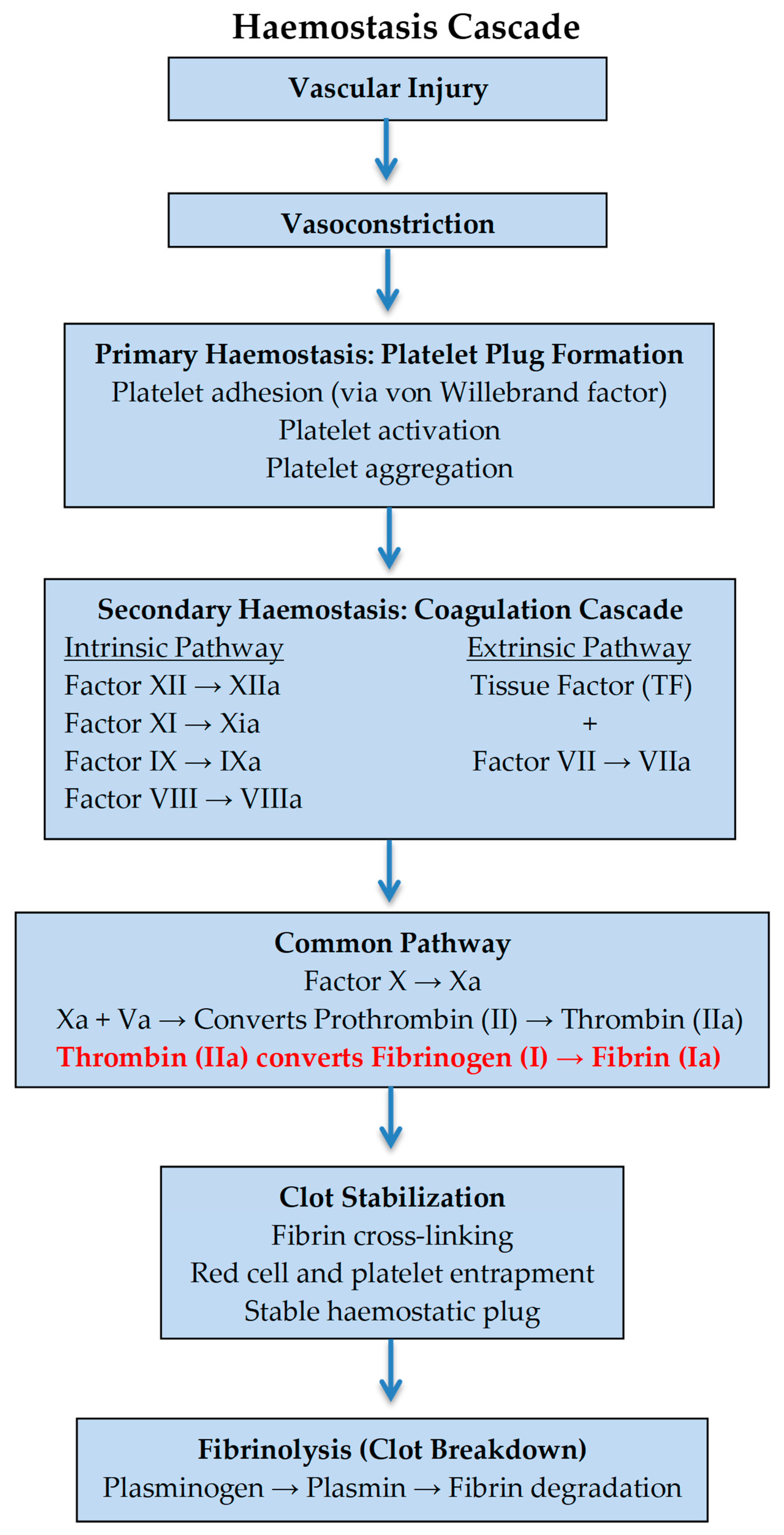 Diagnostics 15 01671 g001