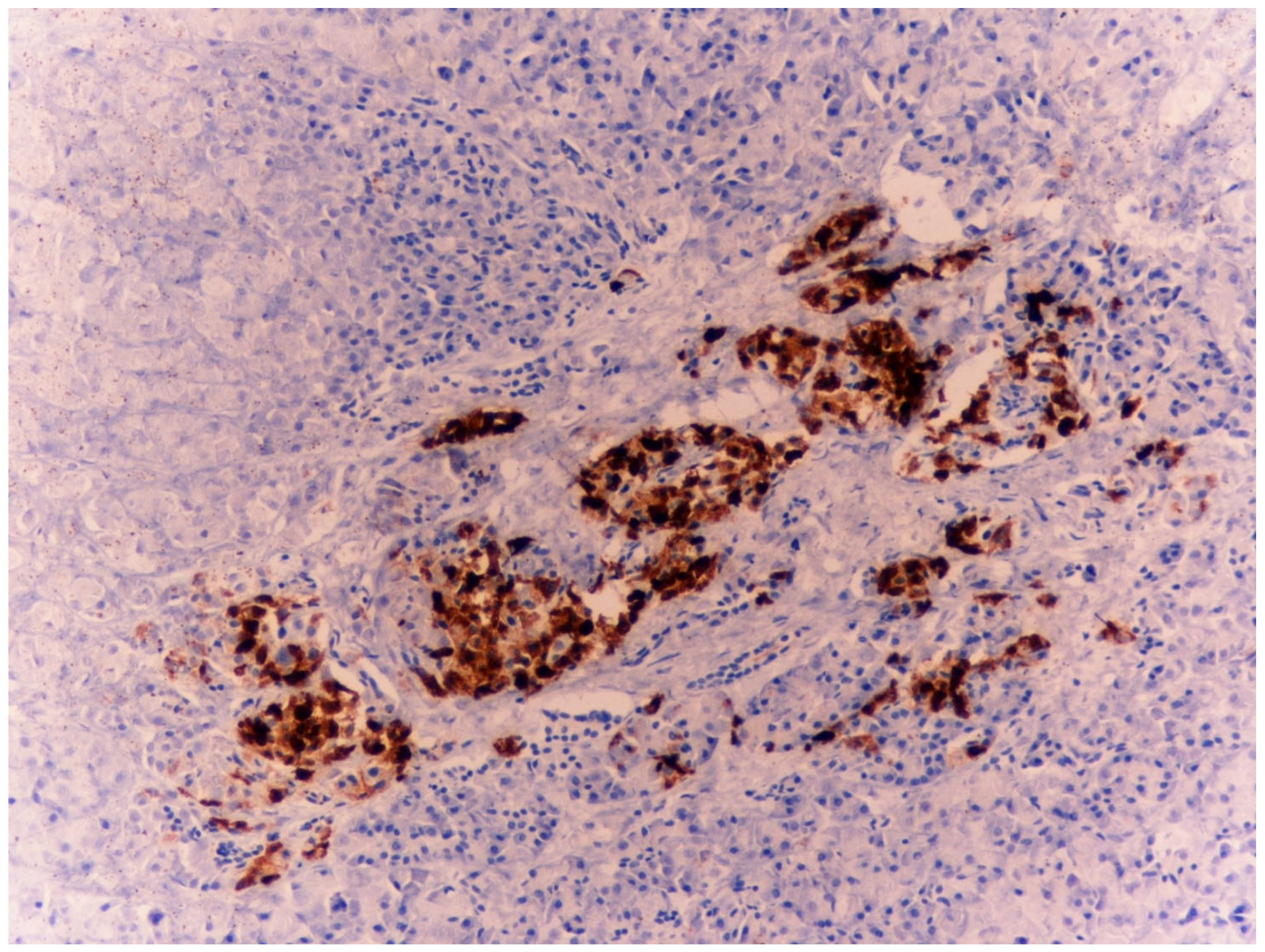 Diagnostics 15 01673 g005