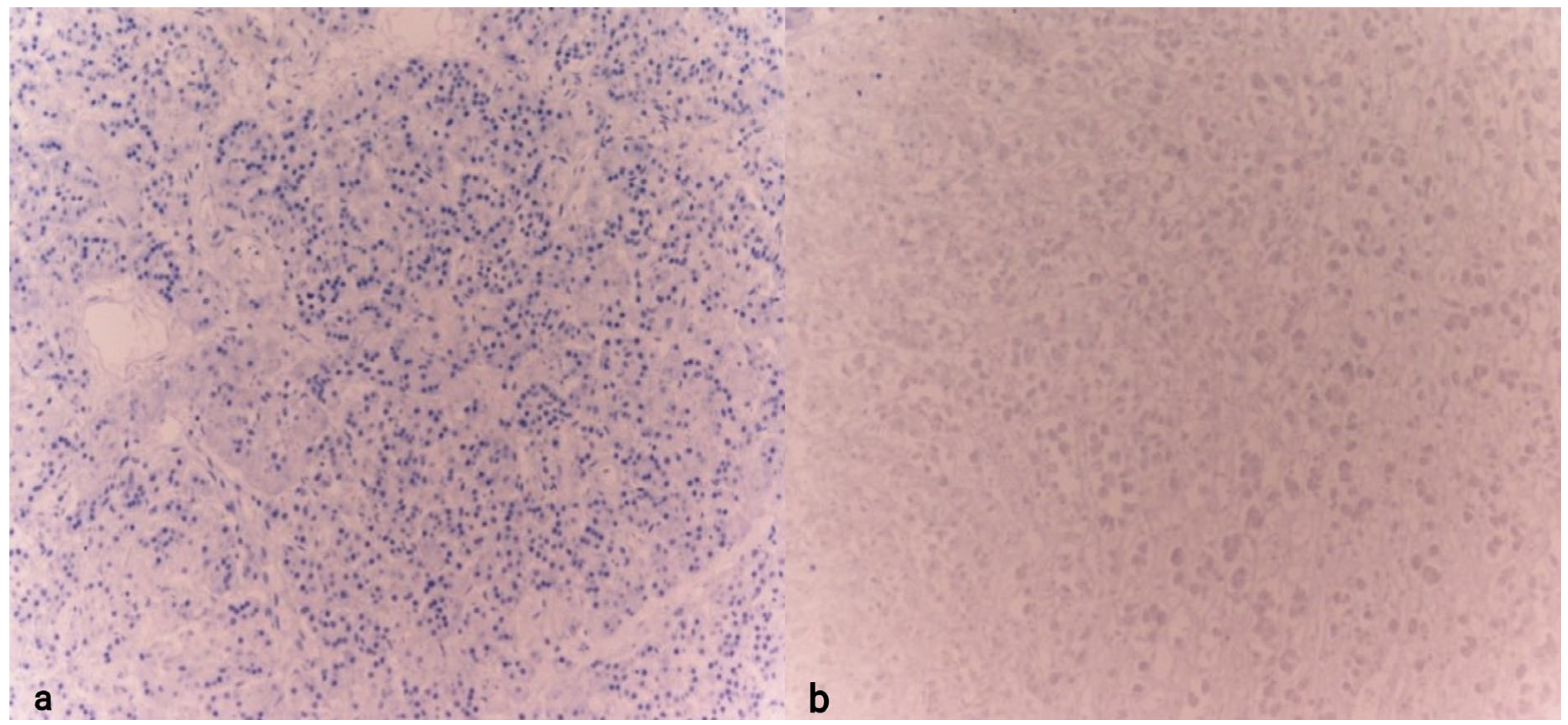 Diagnostics 15 01673 g006