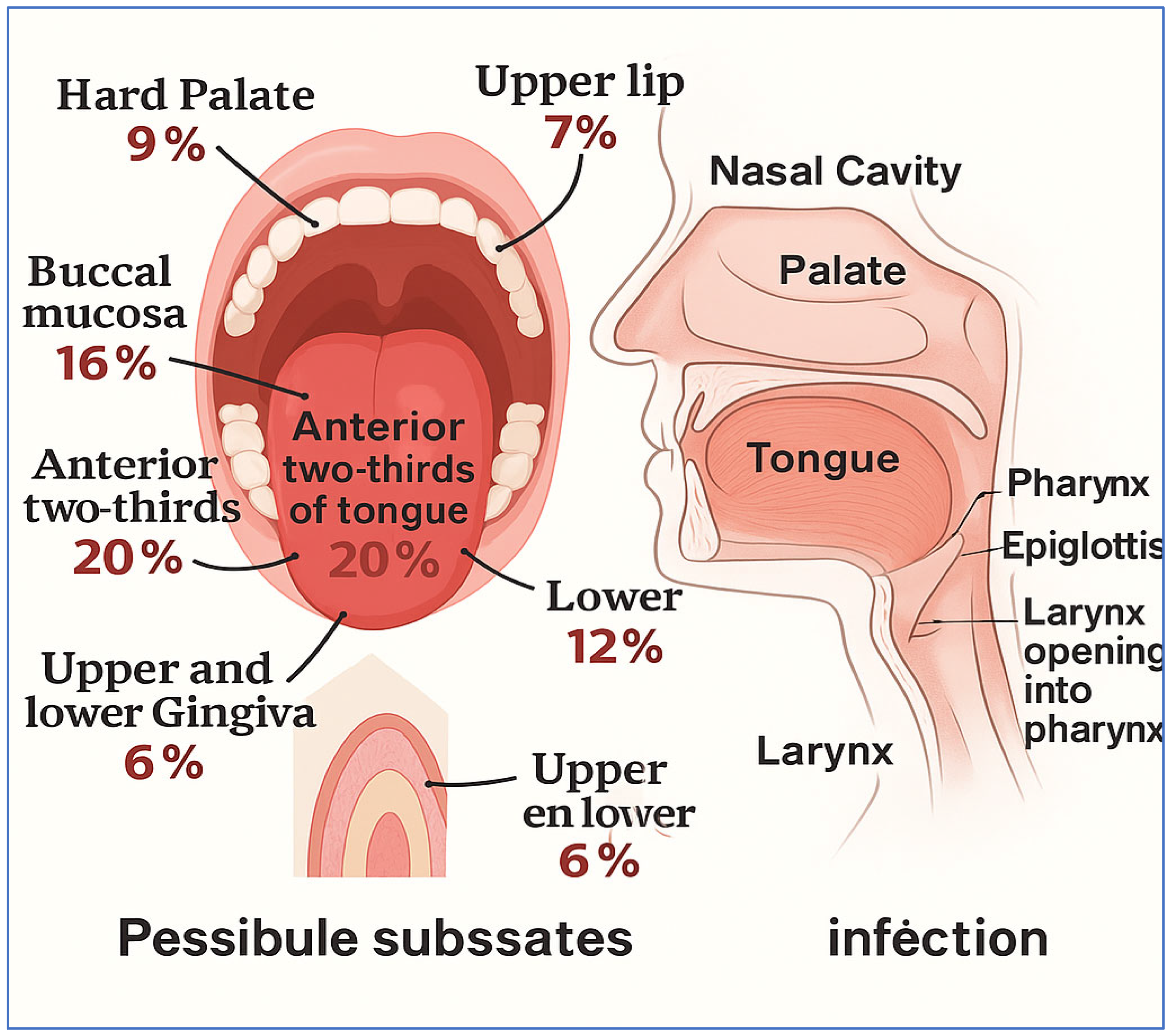 Diagnostics 15 01678 g001