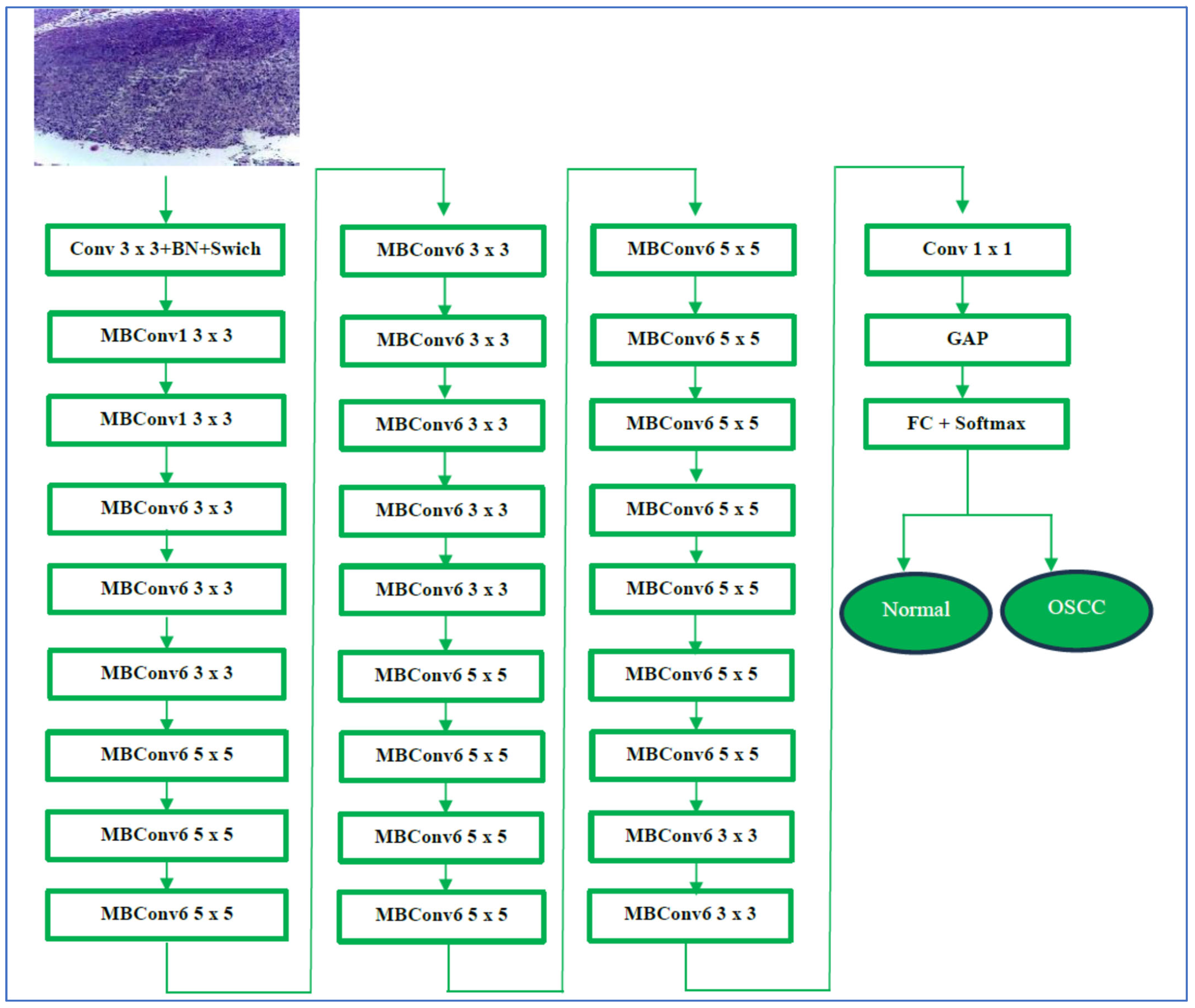 Diagnostics 15 01678 g005