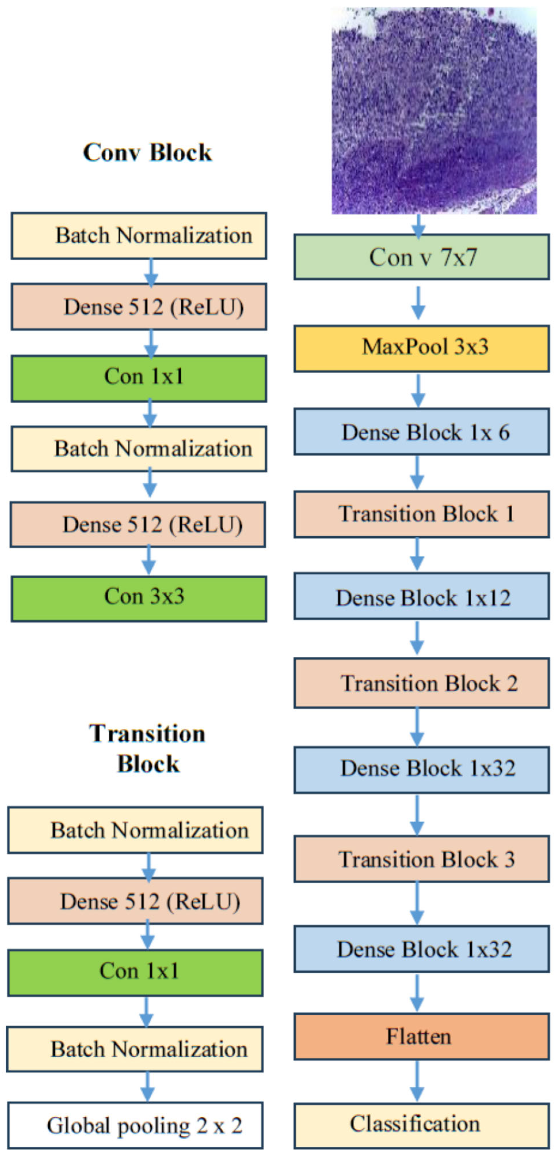 Diagnostics 15 01678 g006