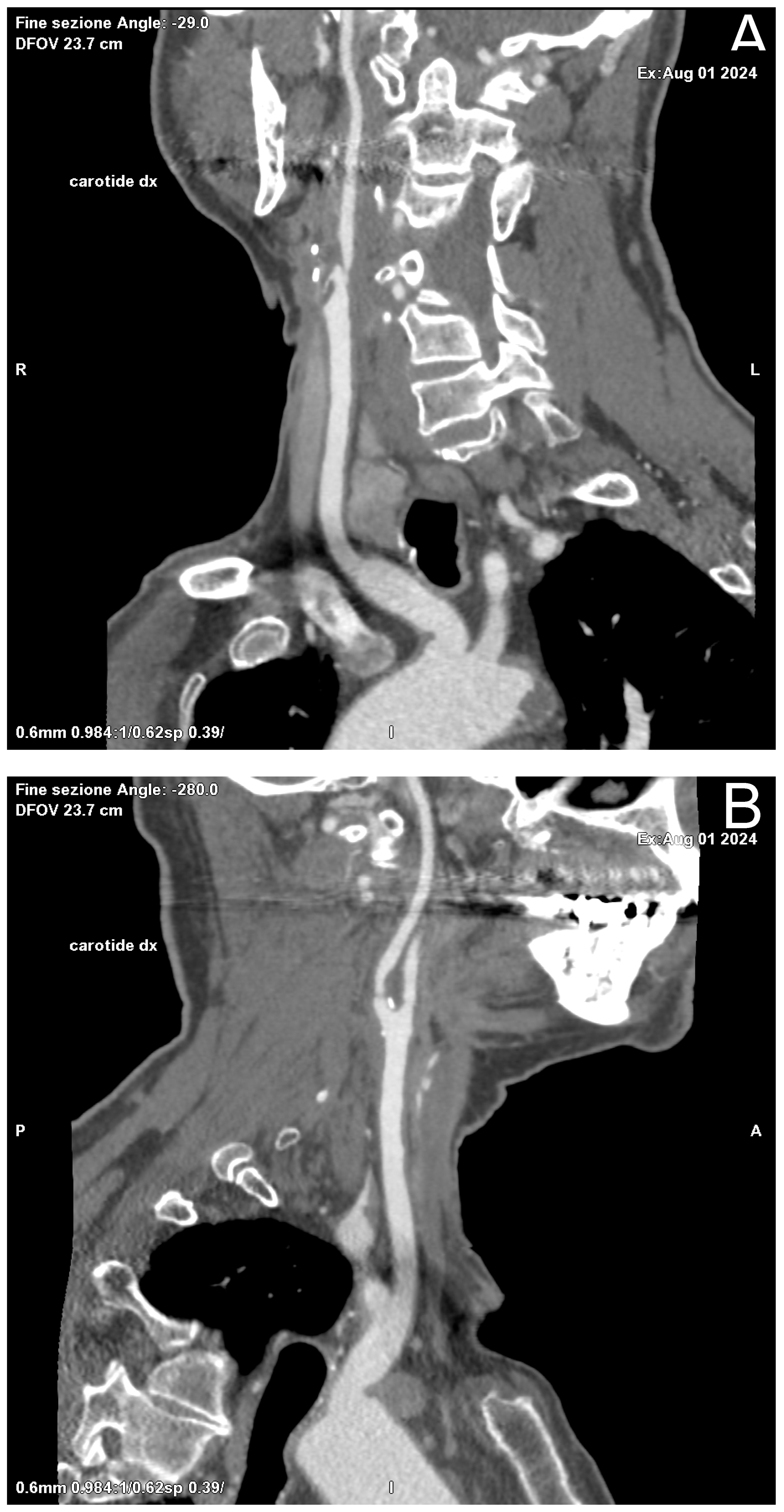 Diagnostics 15 01679 g002