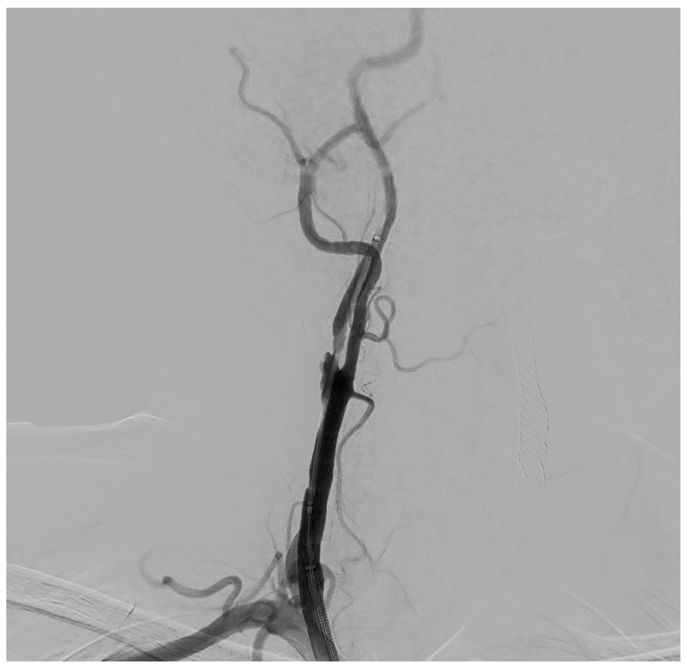 Diagnostics 15 01679 g003