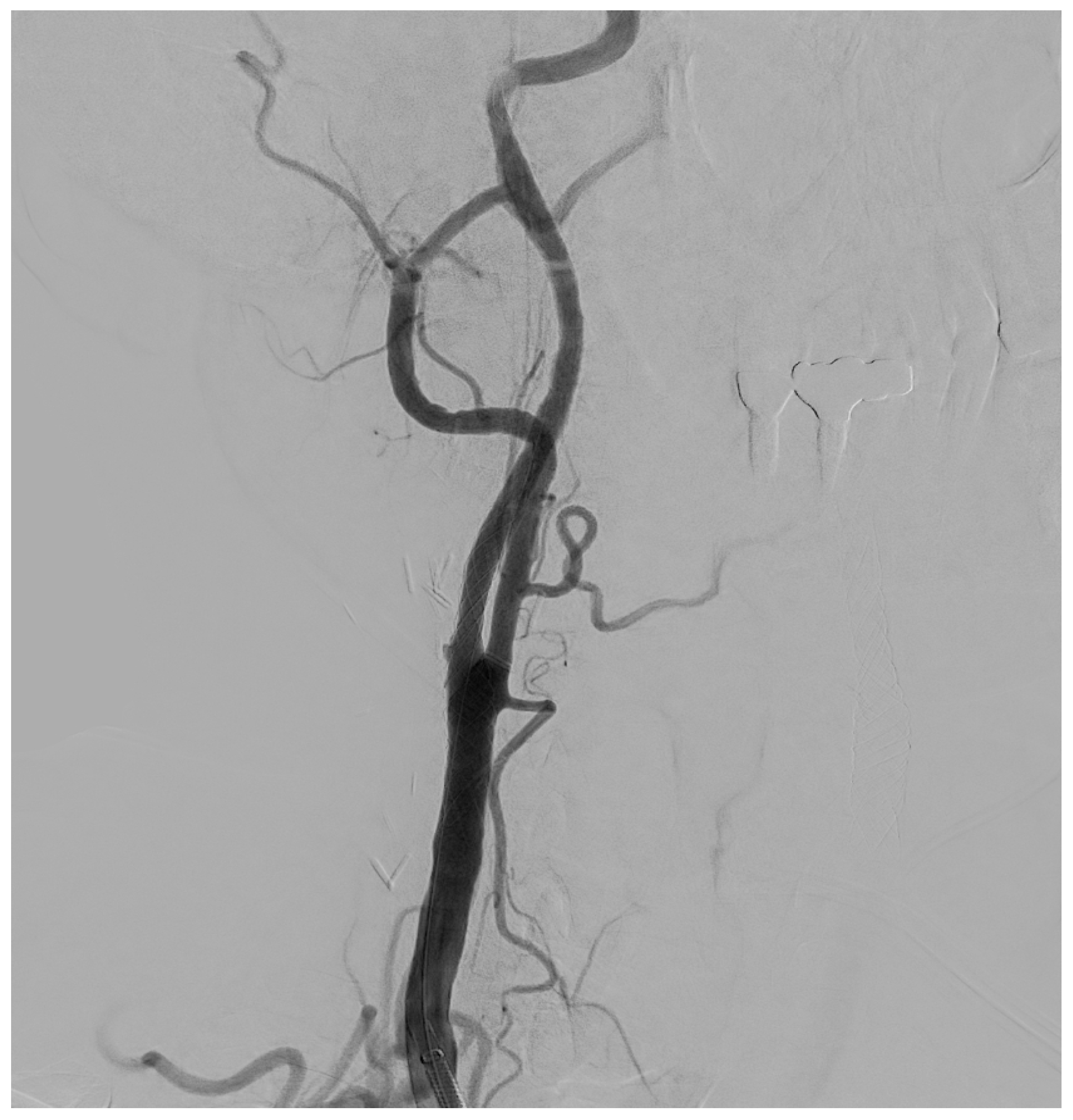 Diagnostics 15 01679 g005