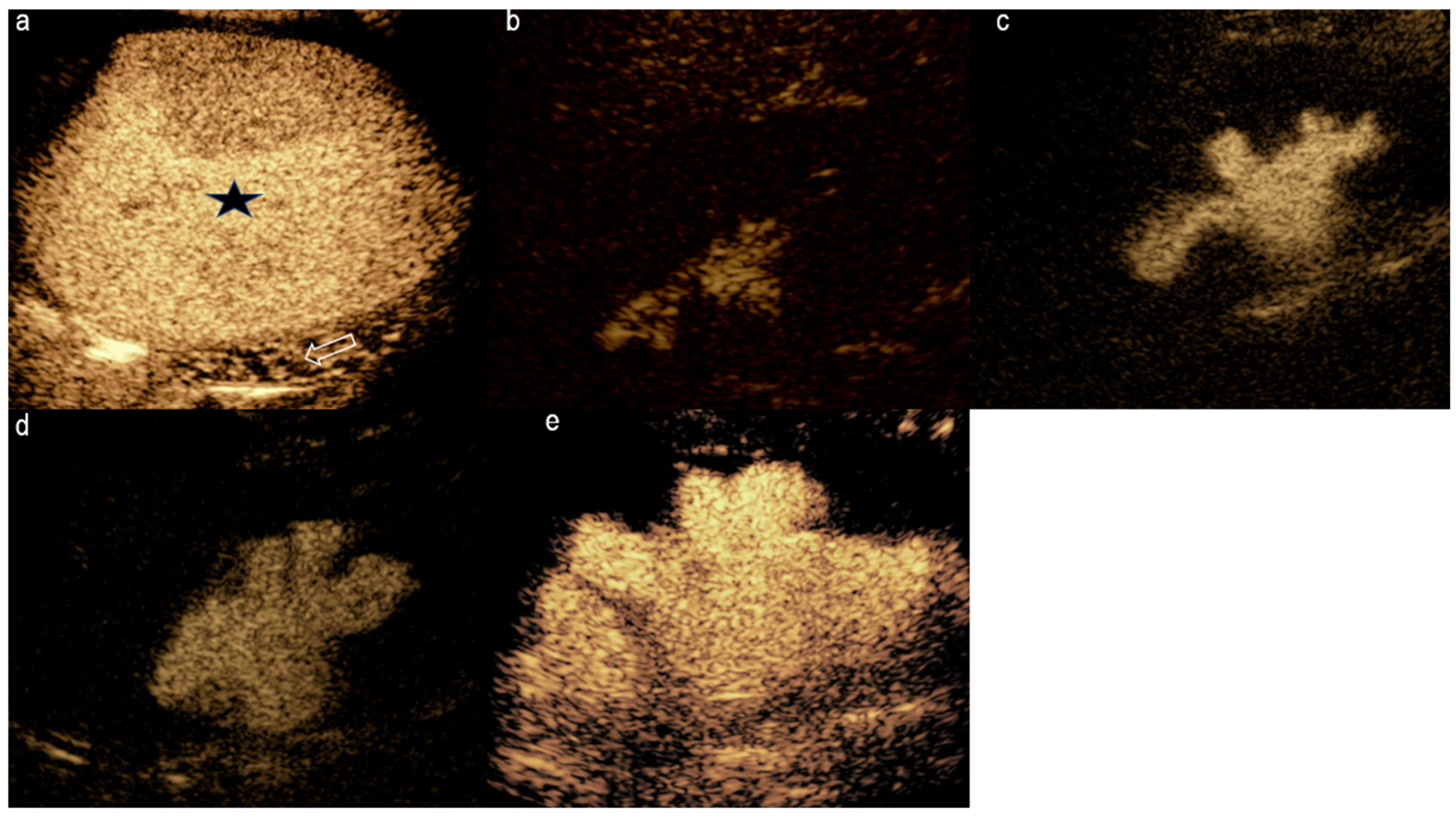Diagnostics 15 01680 g006