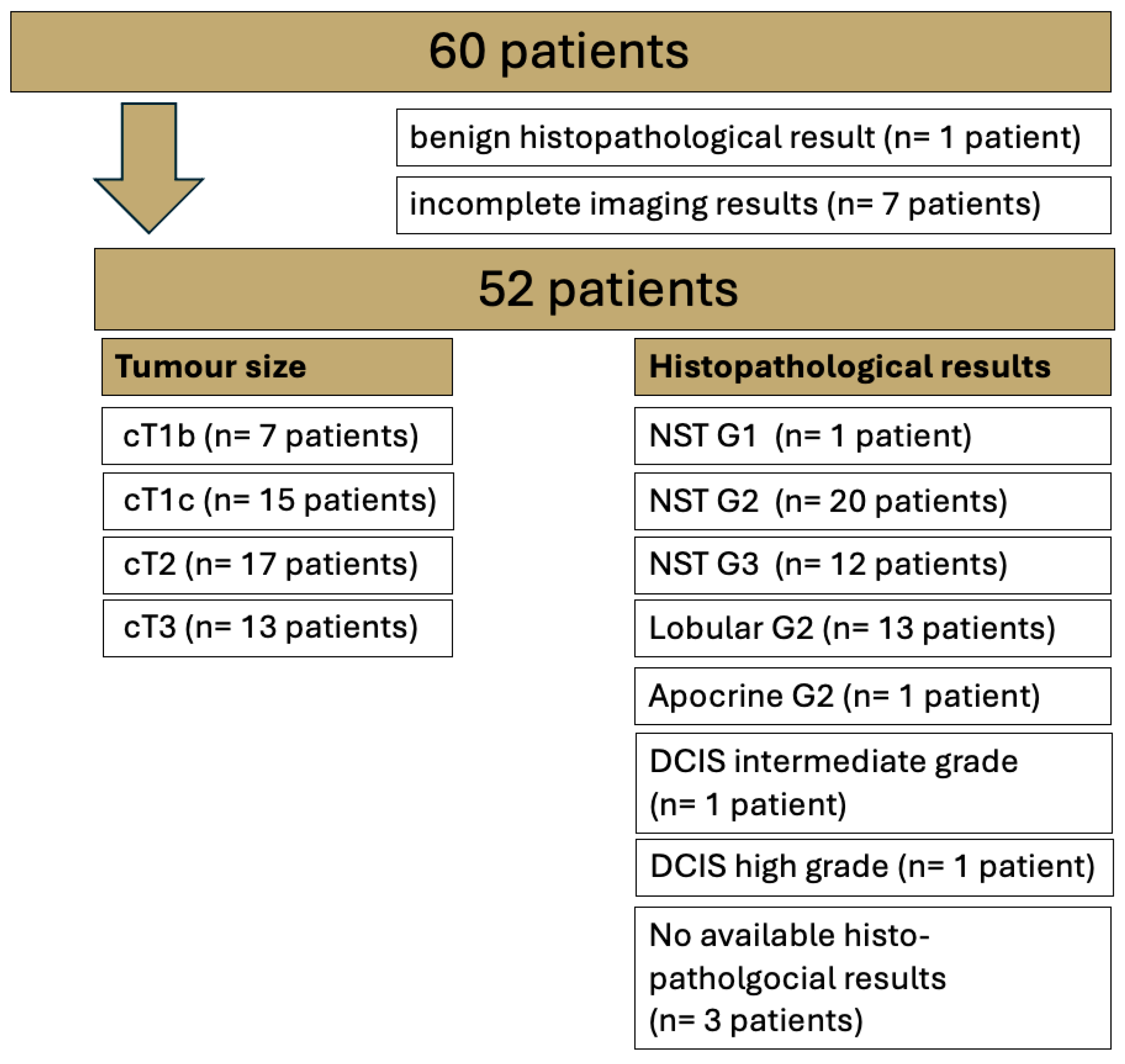 Diagnostics 15 01681 g001