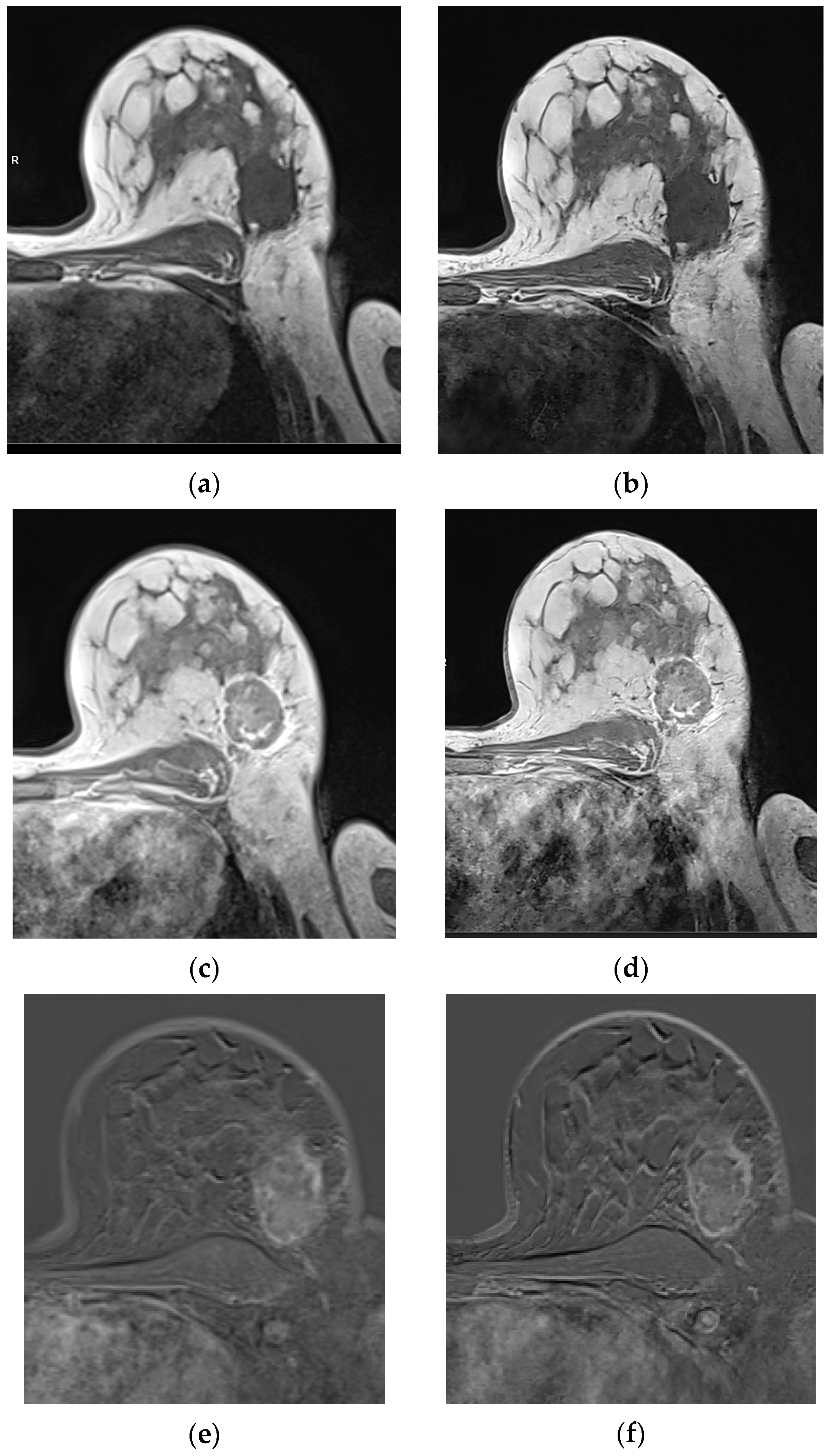 Diagnostics 15 01681 g003