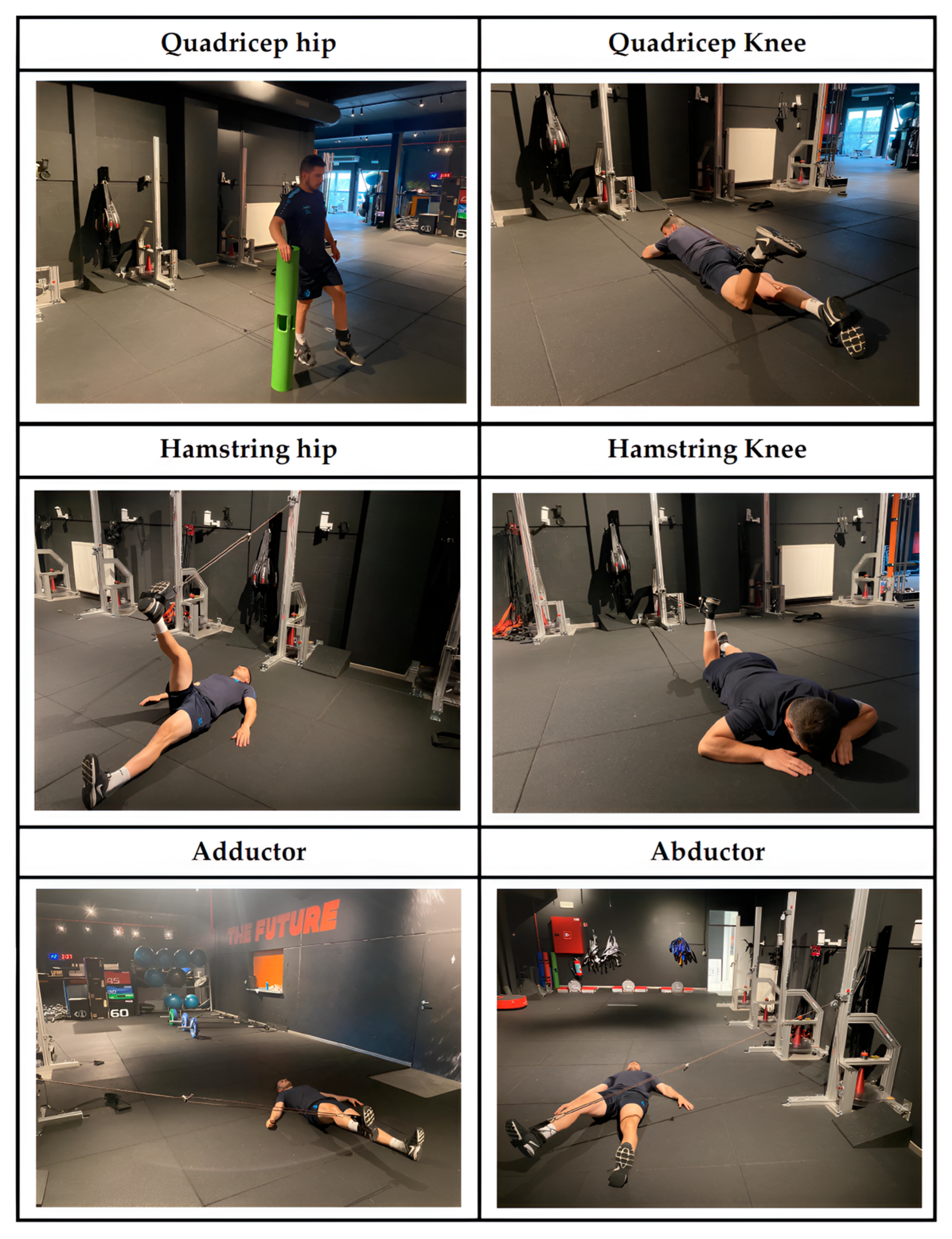 Diagnostics 15 01691 g001