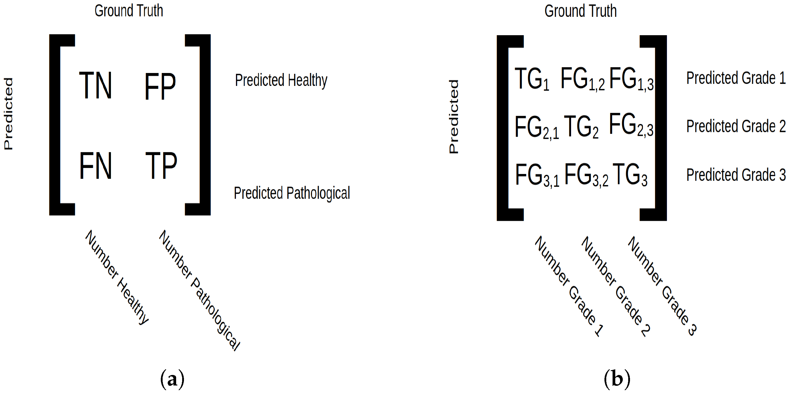 Diagnostics 15 01694 g002