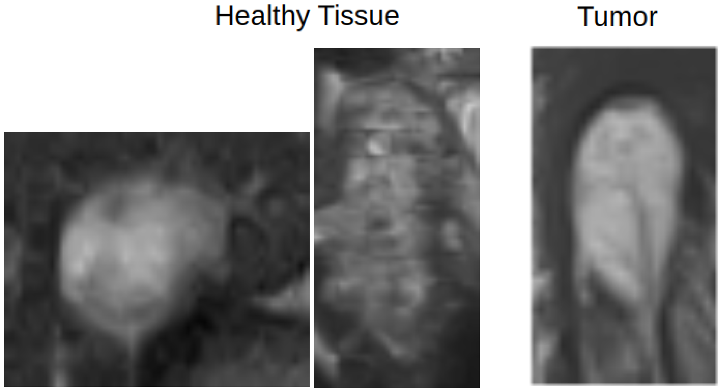 Diagnostics 15 01694 g004