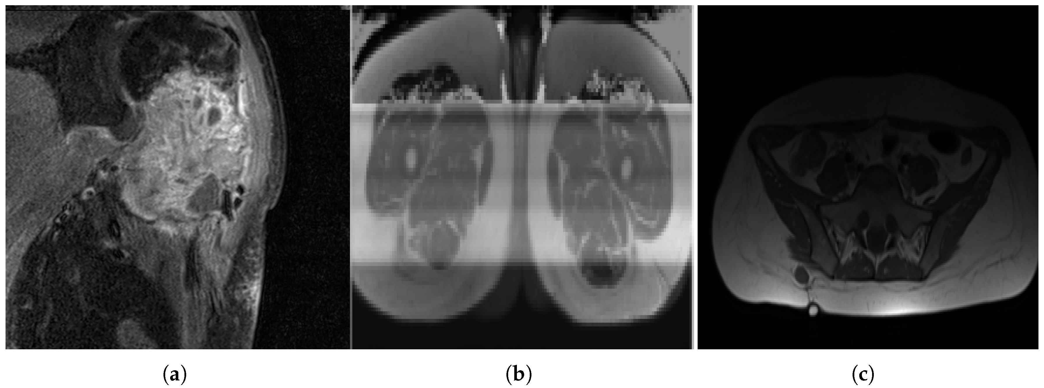 Diagnostics 15 01694 g005