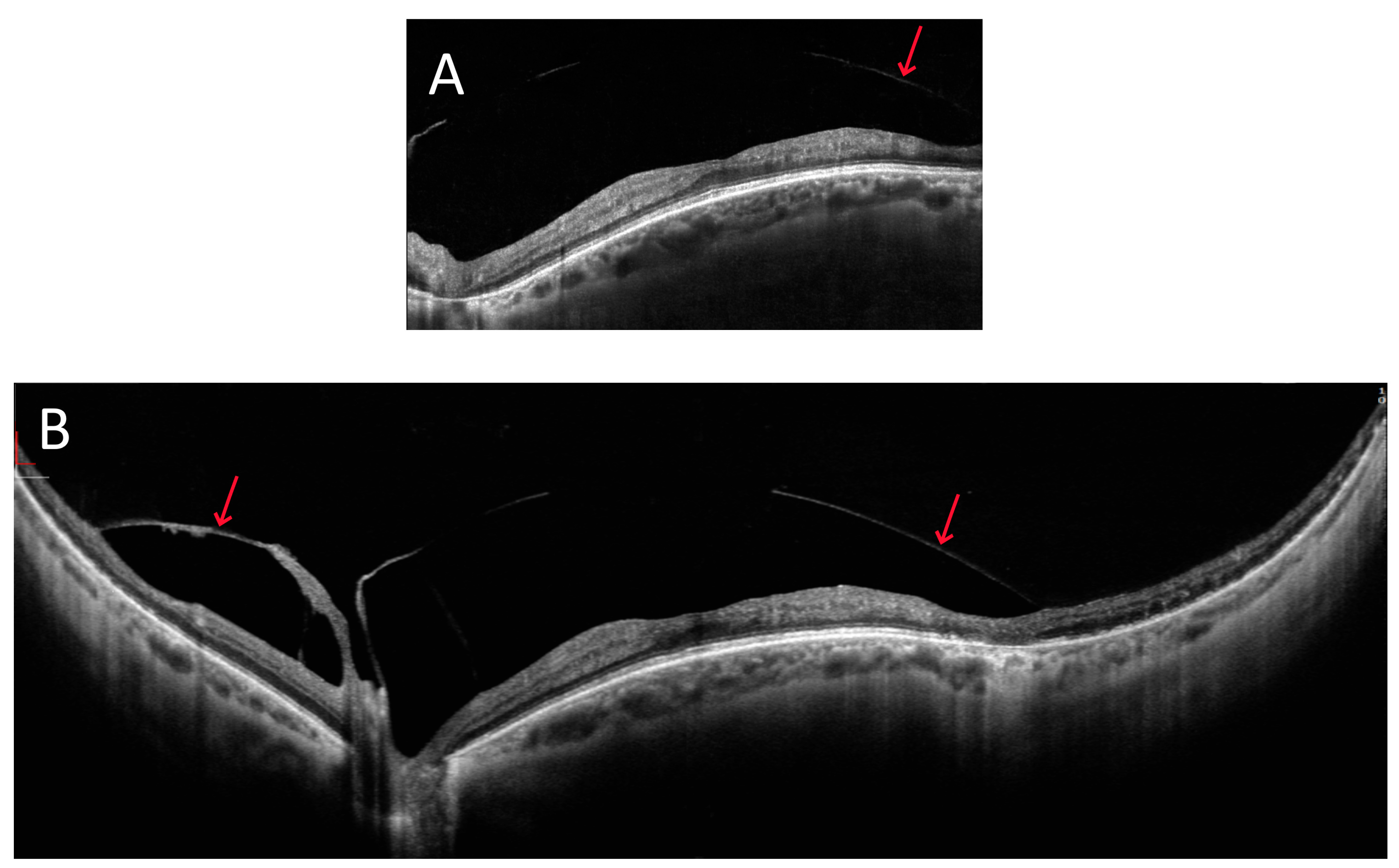 Diagnostics 15 01697 g002