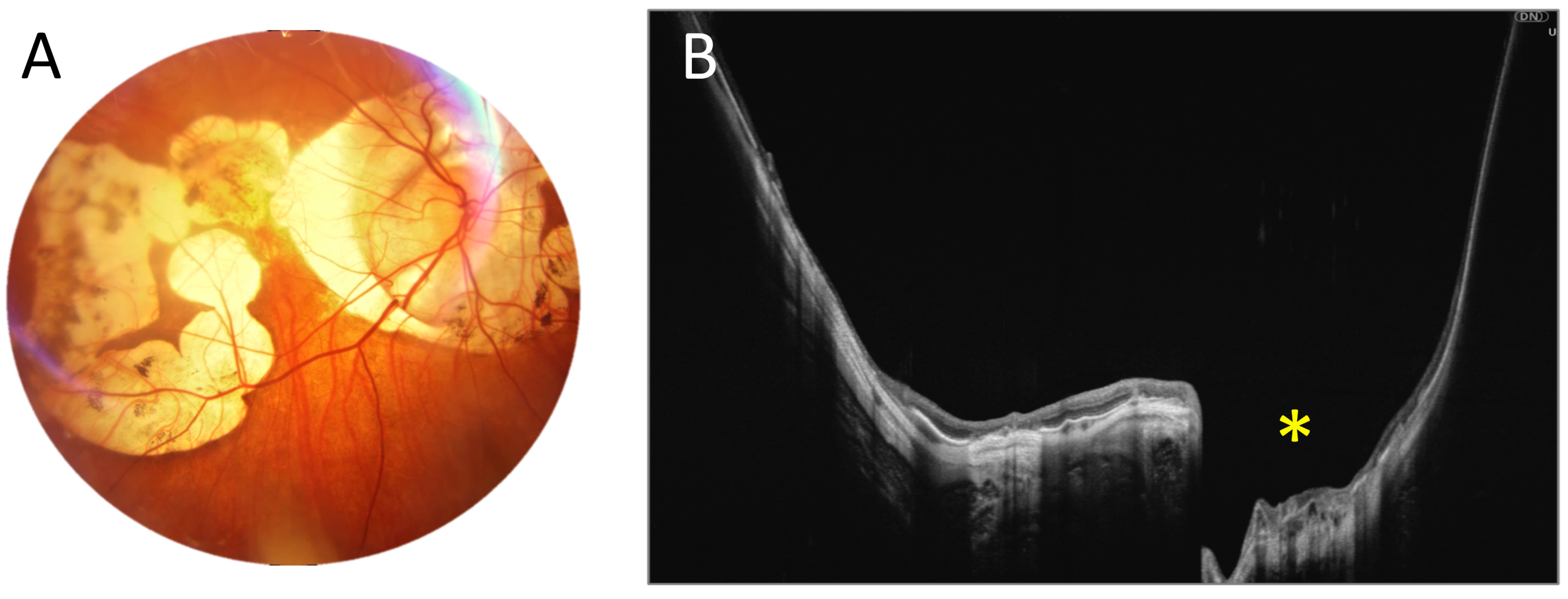 Diagnostics 15 01697 g003