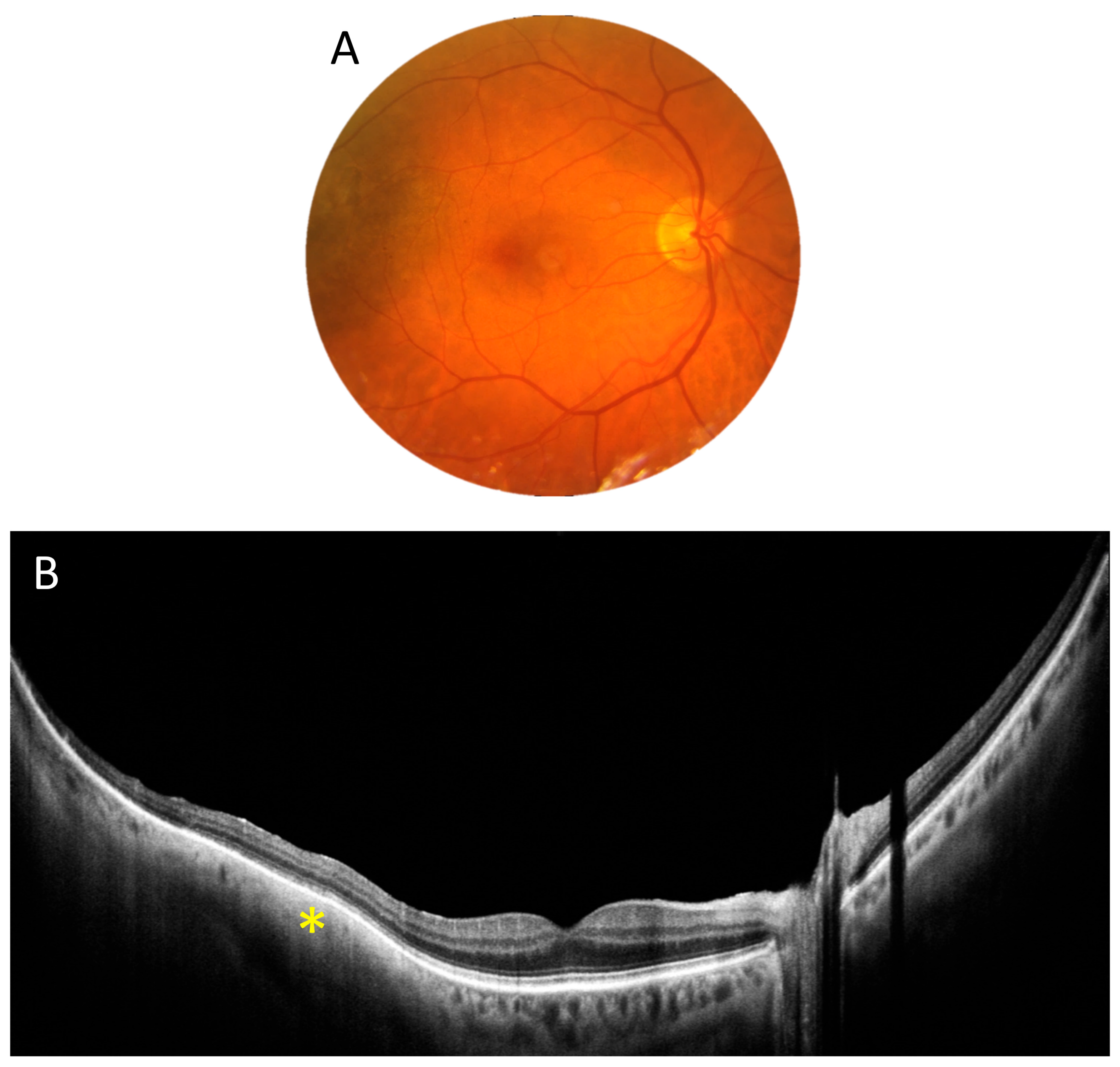 Diagnostics 15 01697 g004