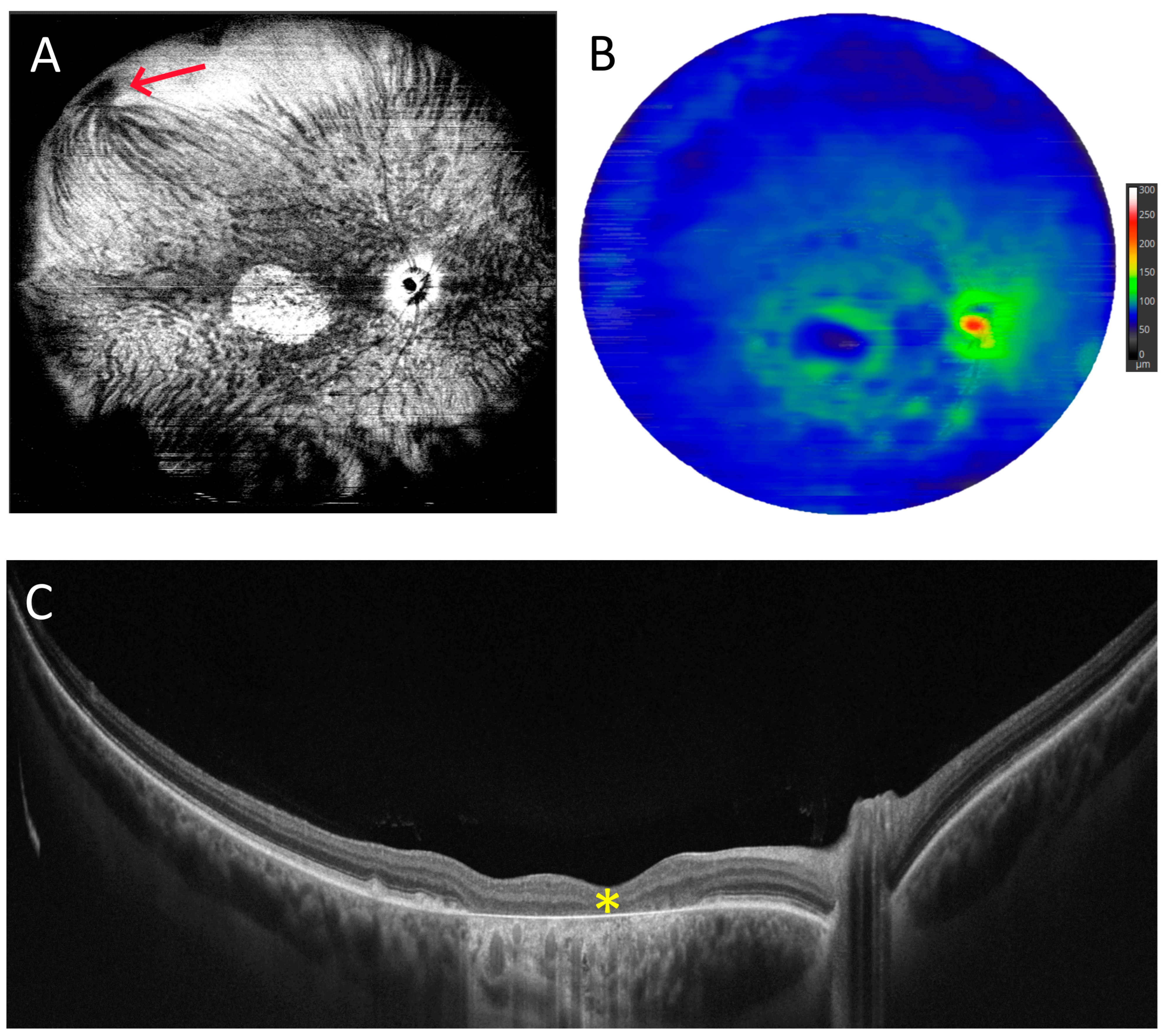 Diagnostics 15 01697 g005