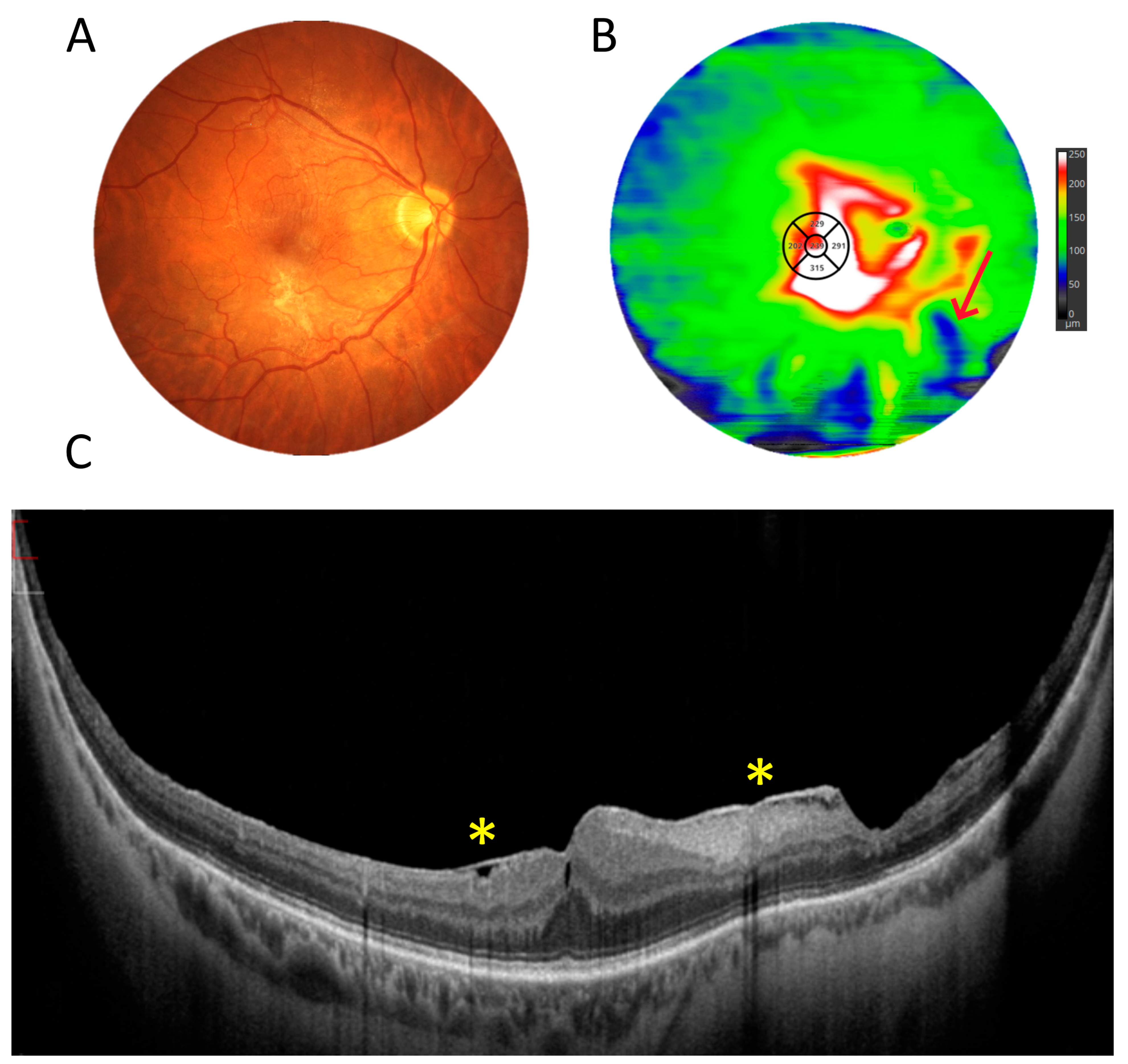 Diagnostics 15 01697 g006
