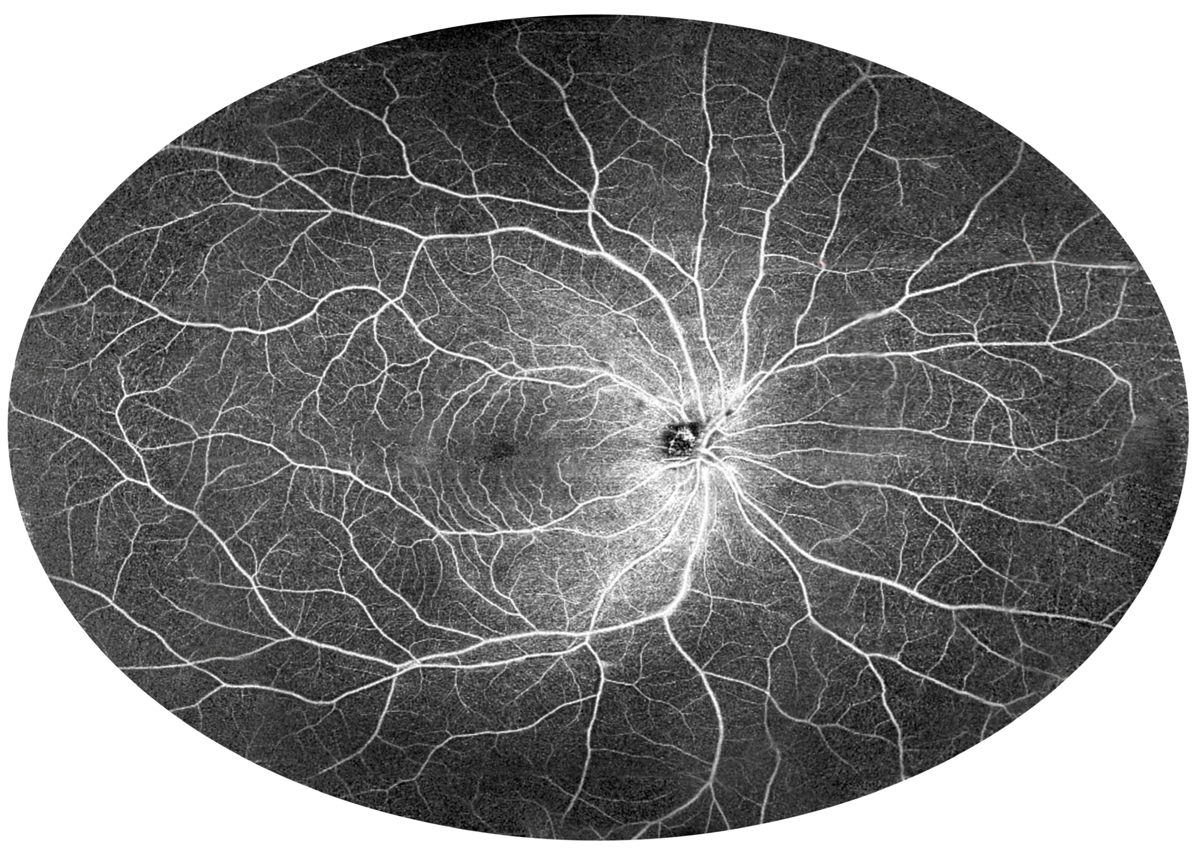 Diagnostics 15 01697 g015