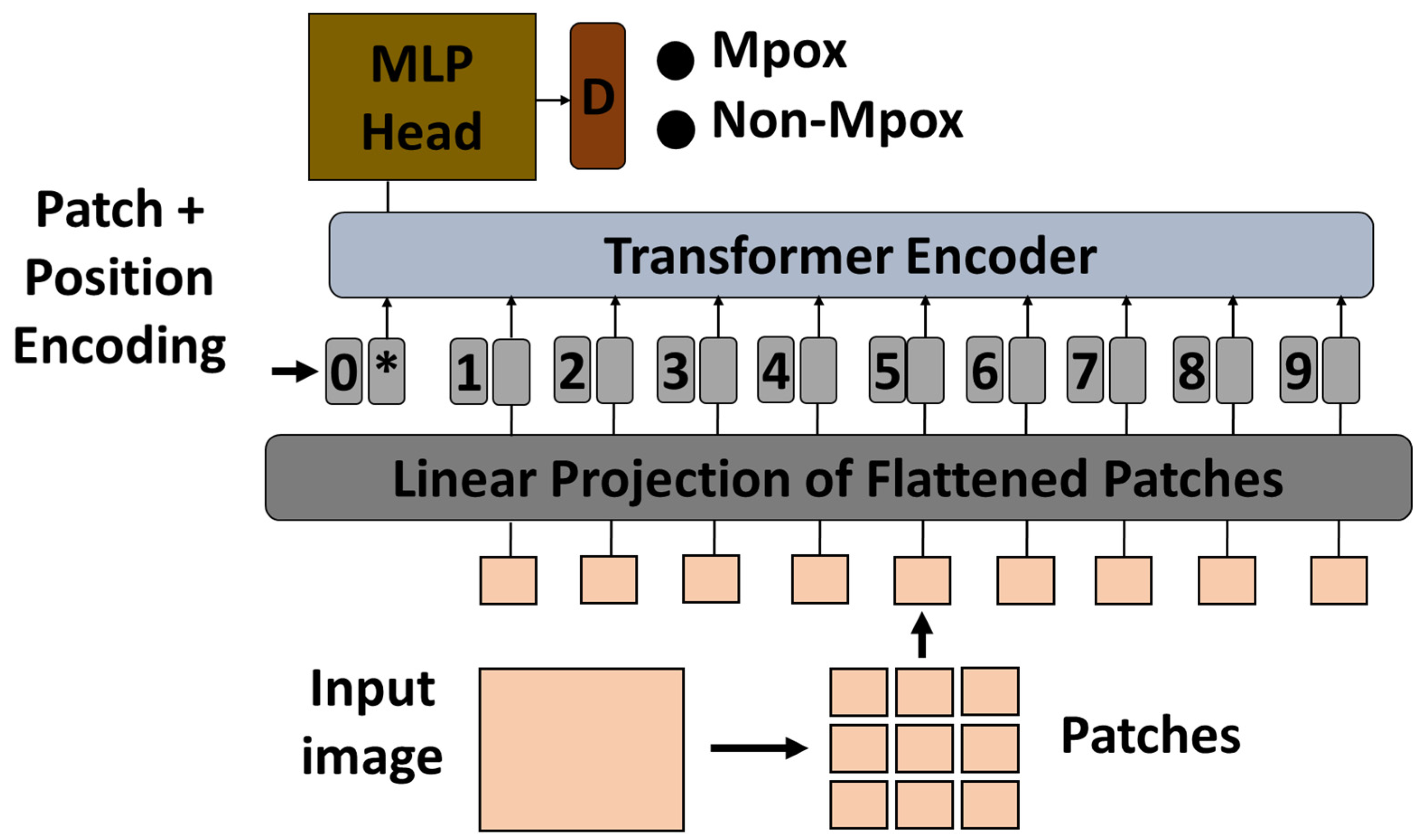 Diagnostics 15 01698 g002
