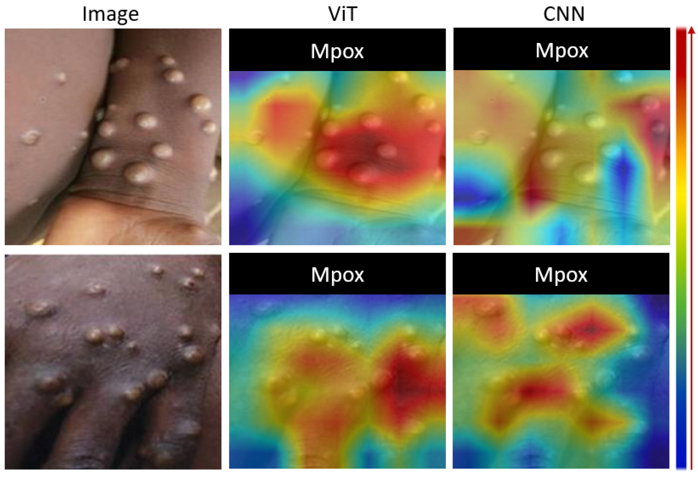 Diagnostics 15 01698 g005