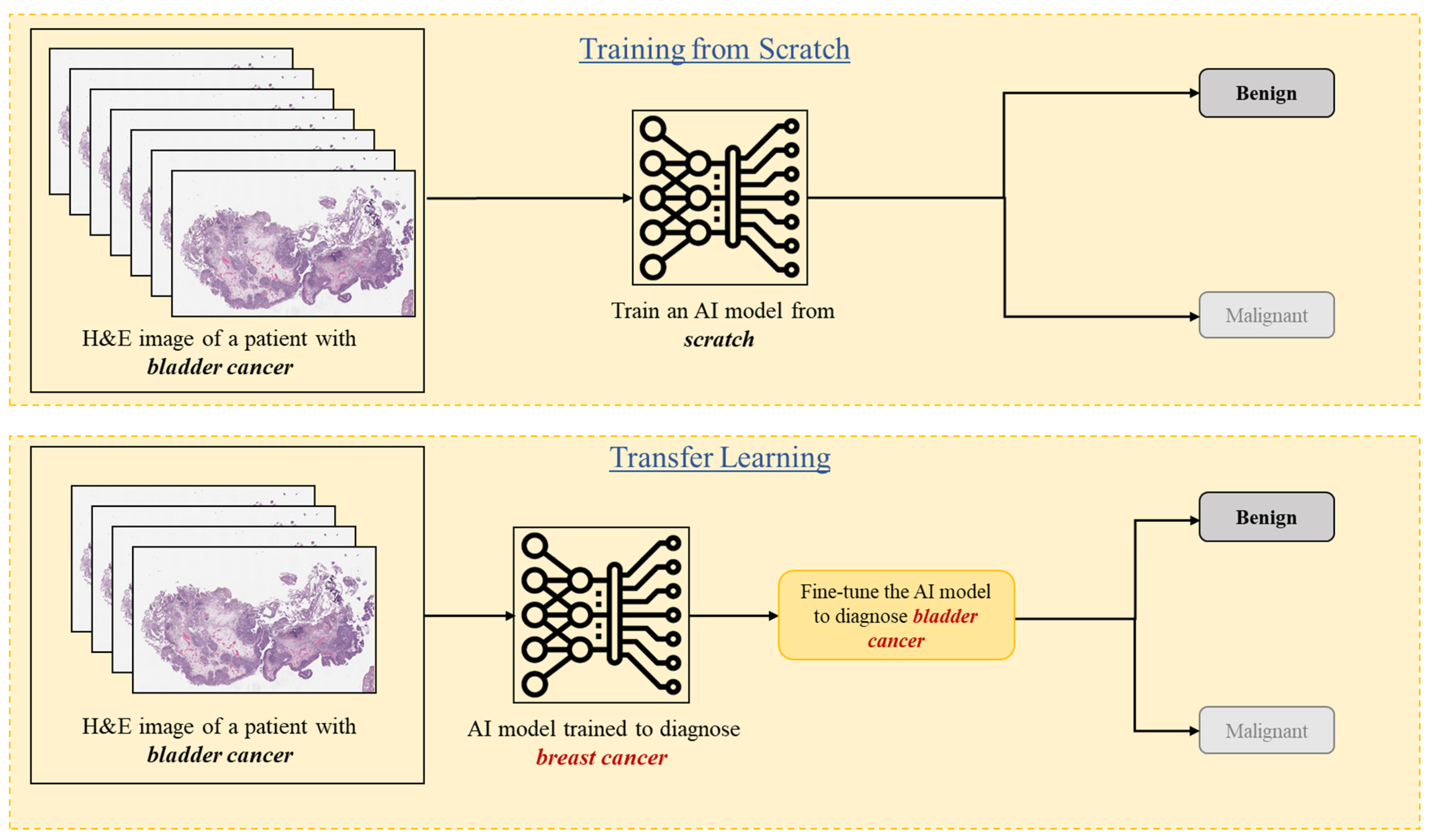 Diagnostics 15 01699 g003