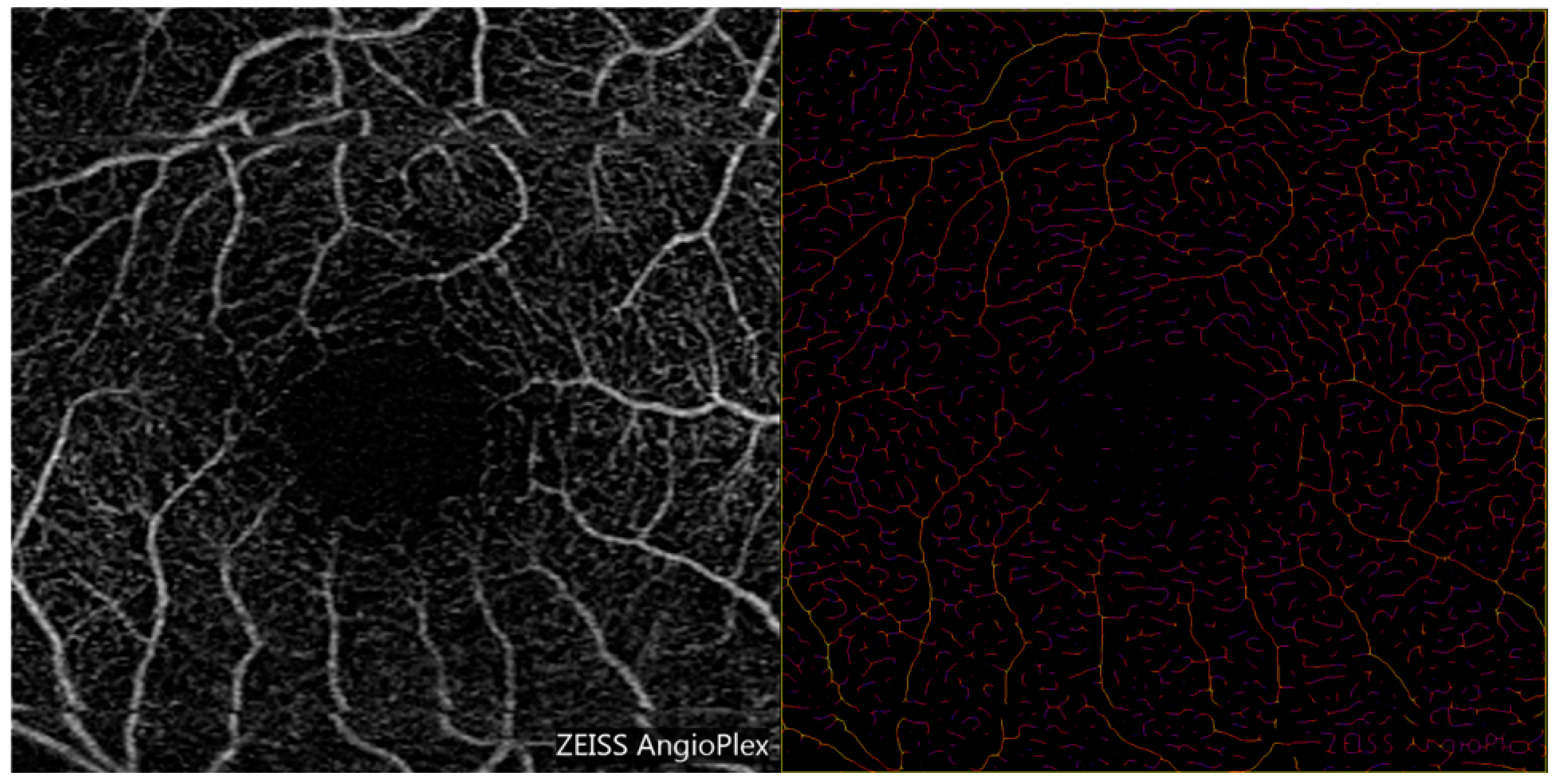 Diagnostics 15 01700 g002