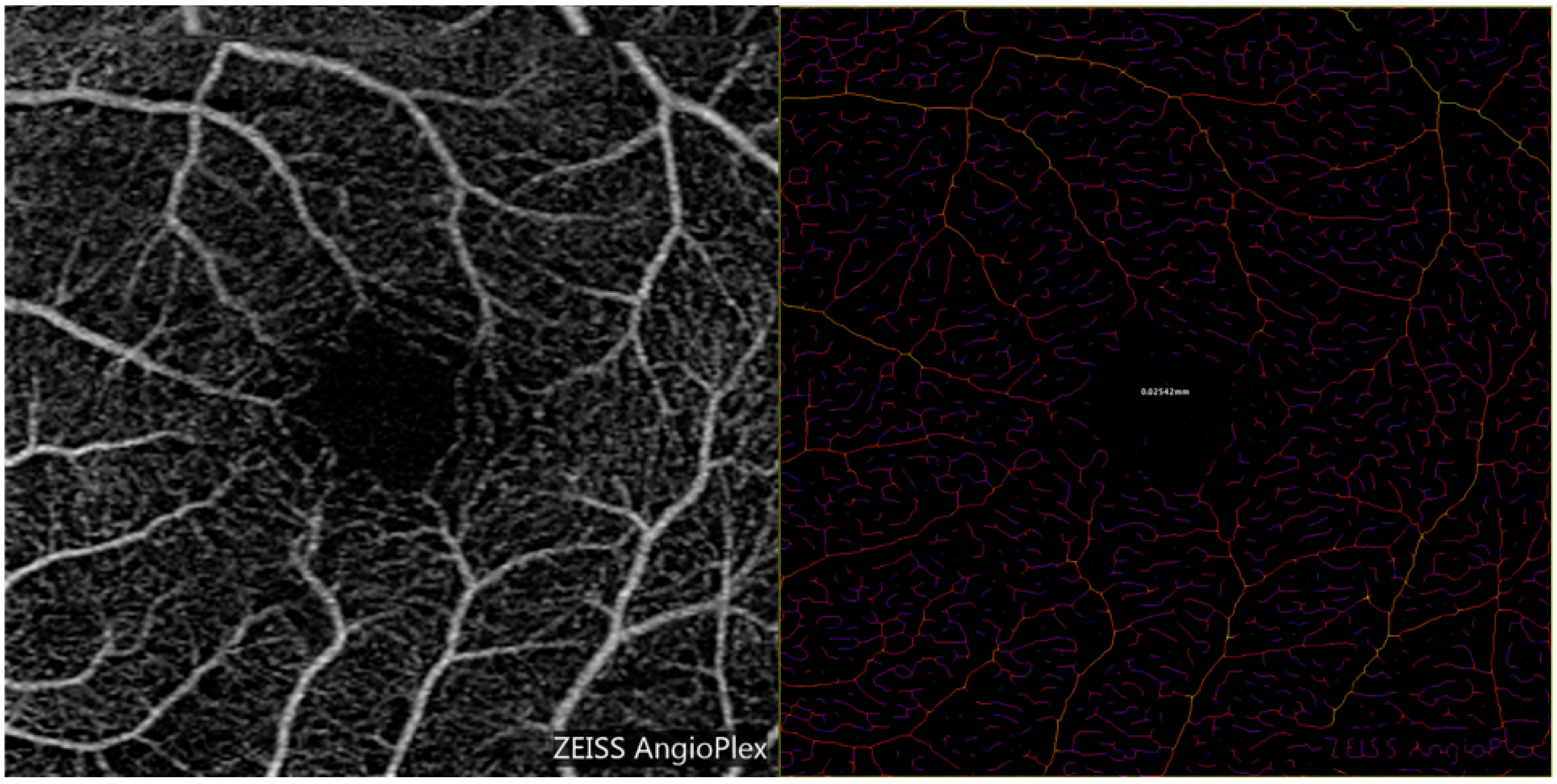 Diagnostics 15 01700 g003