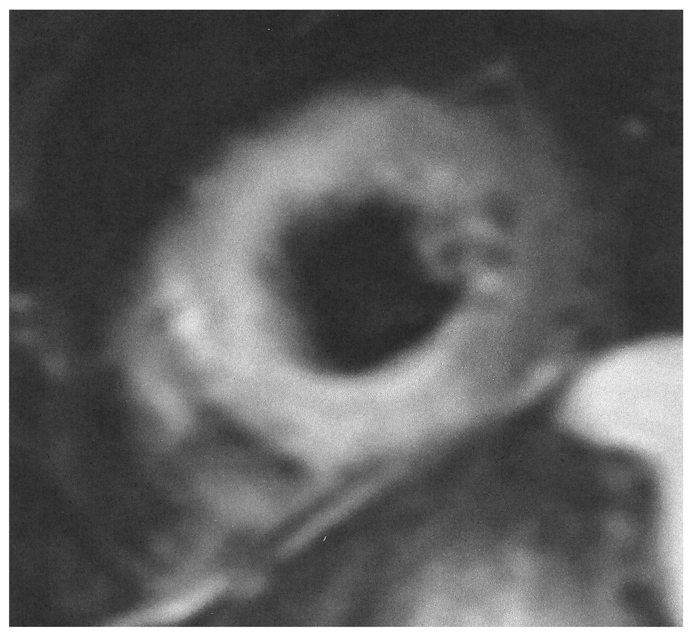 Diagnostics 15 01712 g003