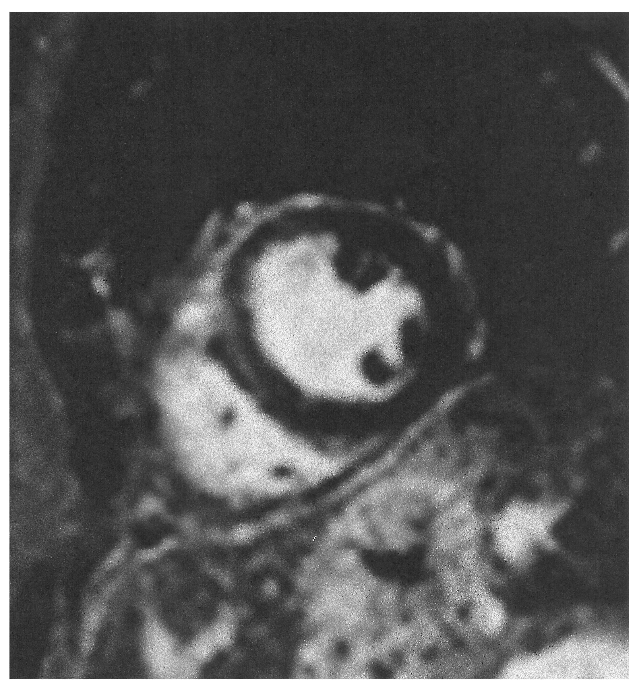 Diagnostics 15 01712 g004