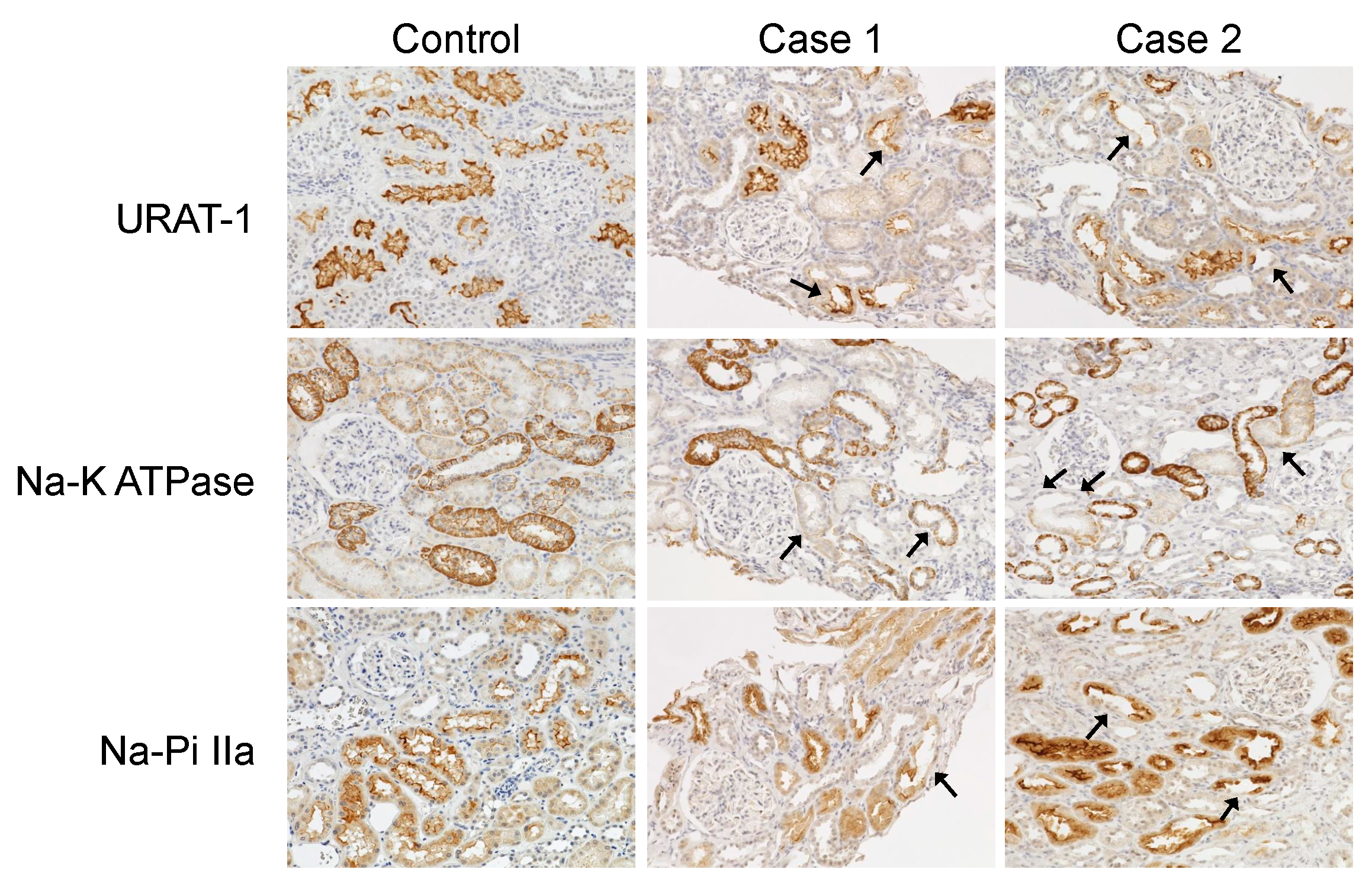 Diagnostics 15 01722 g006