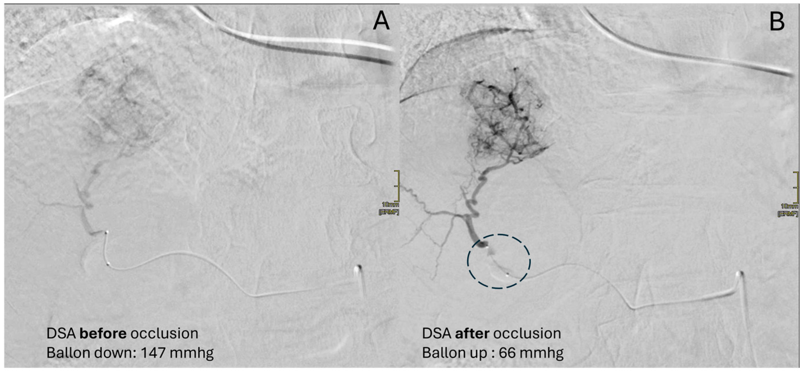 Diagnostics 15 01726 g001