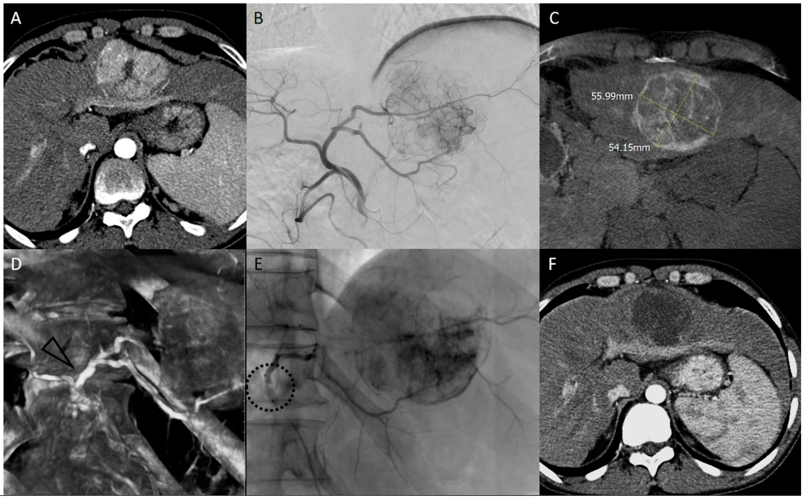 Diagnostics 15 01726 g002