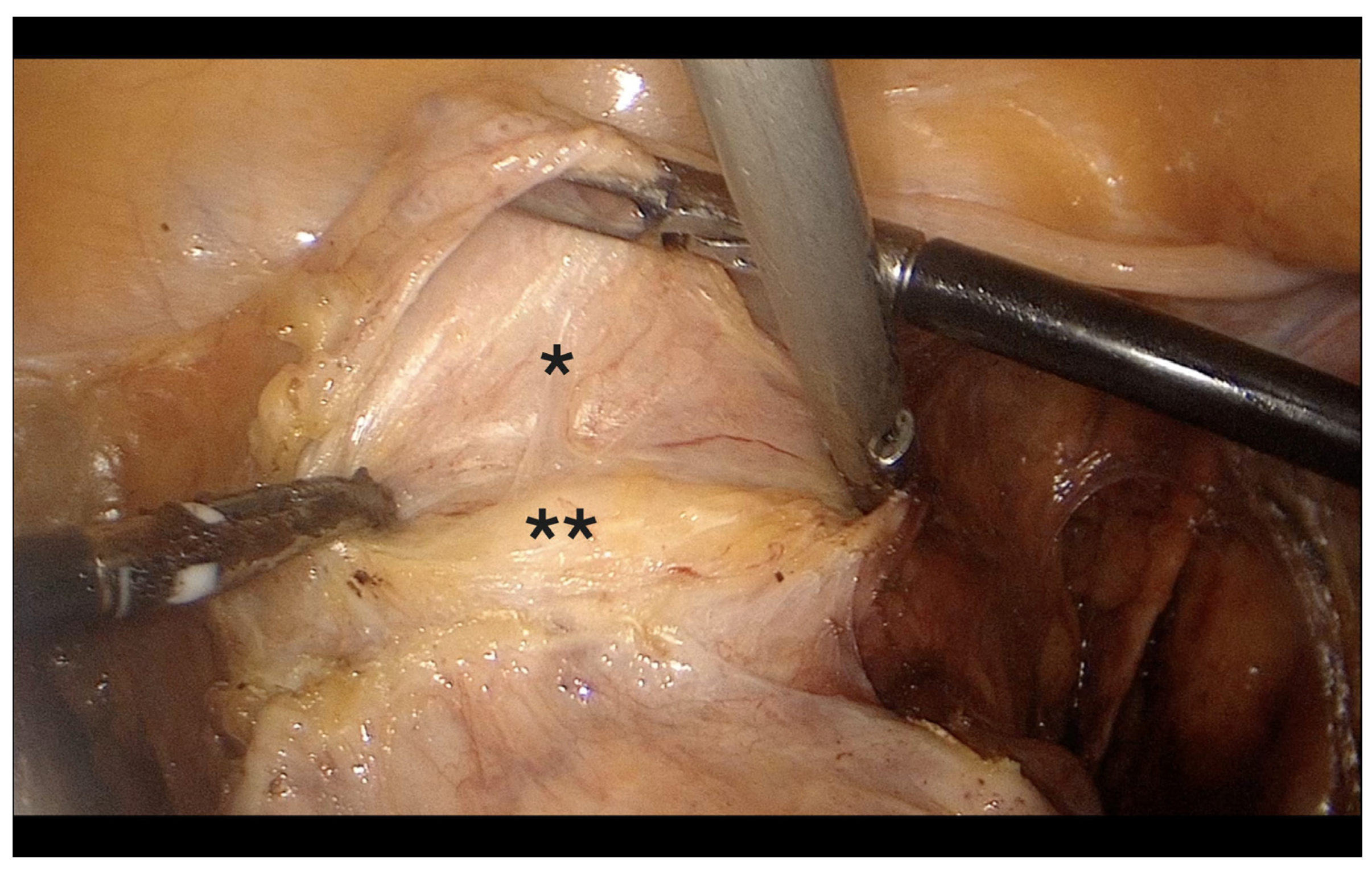 Diagnostics 15 01736 g005