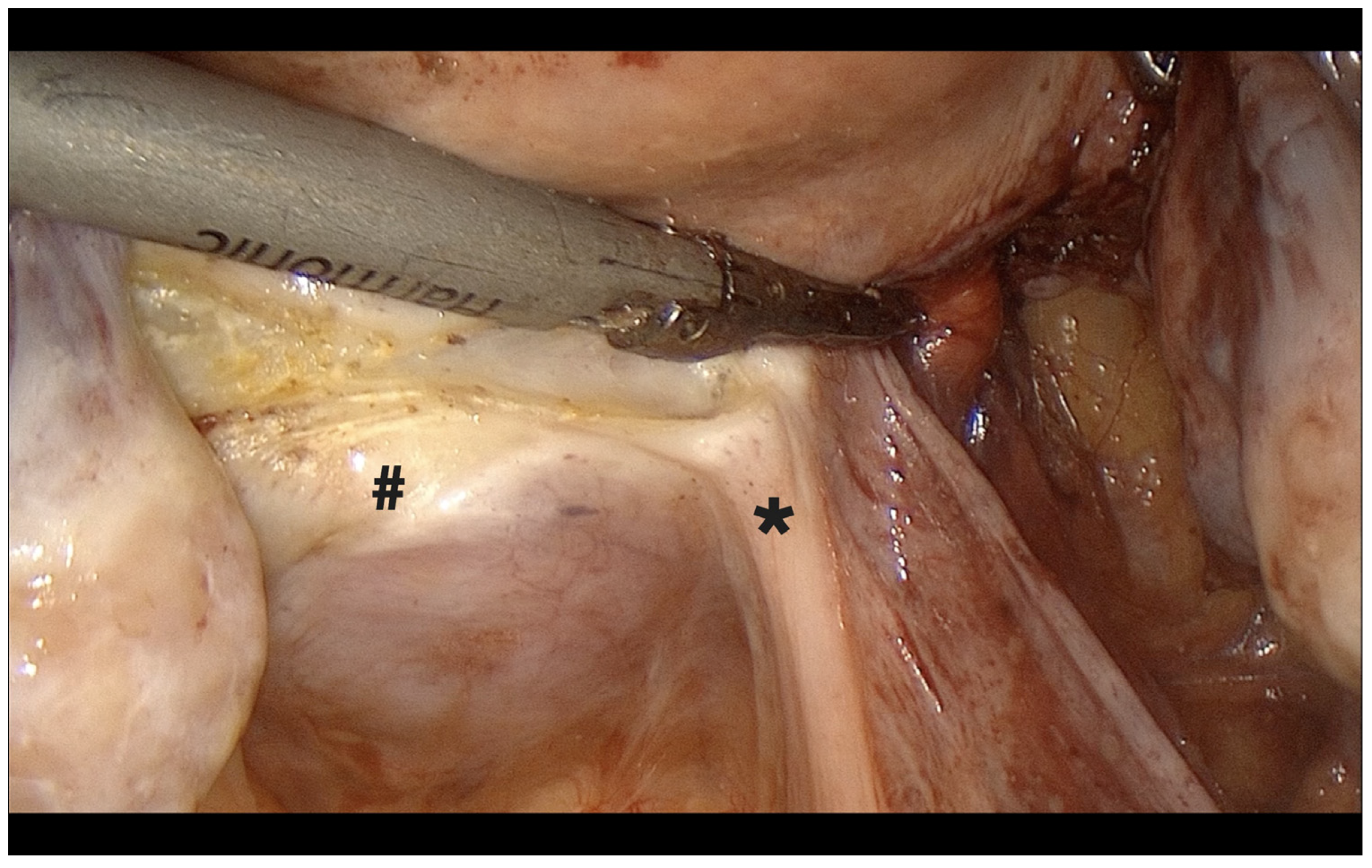 Diagnostics 15 01736 g006