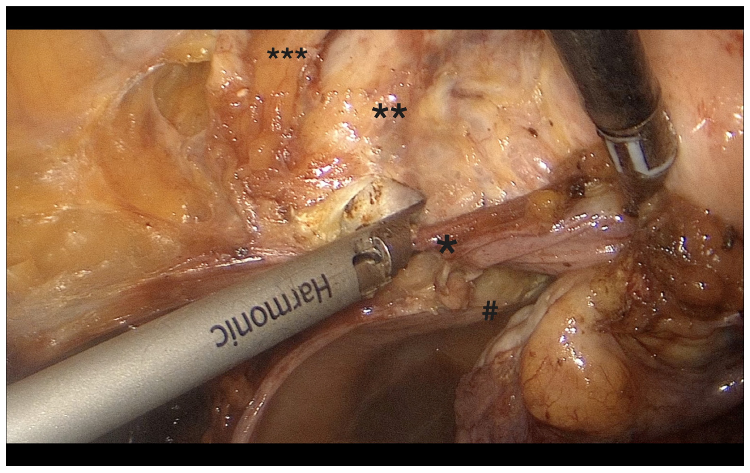 Diagnostics 15 01736 g007