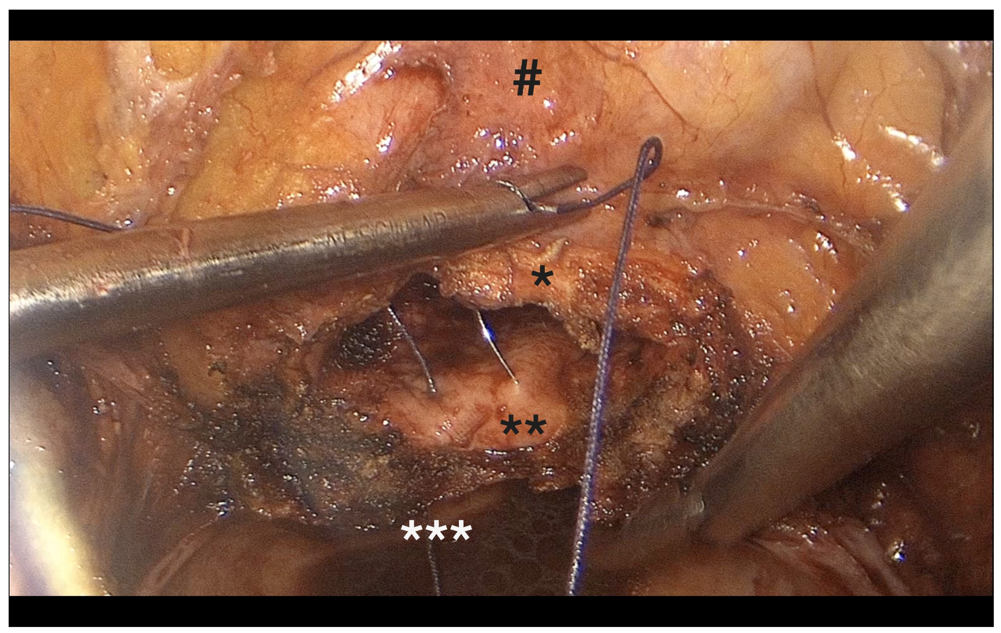 Diagnostics 15 01736 g009