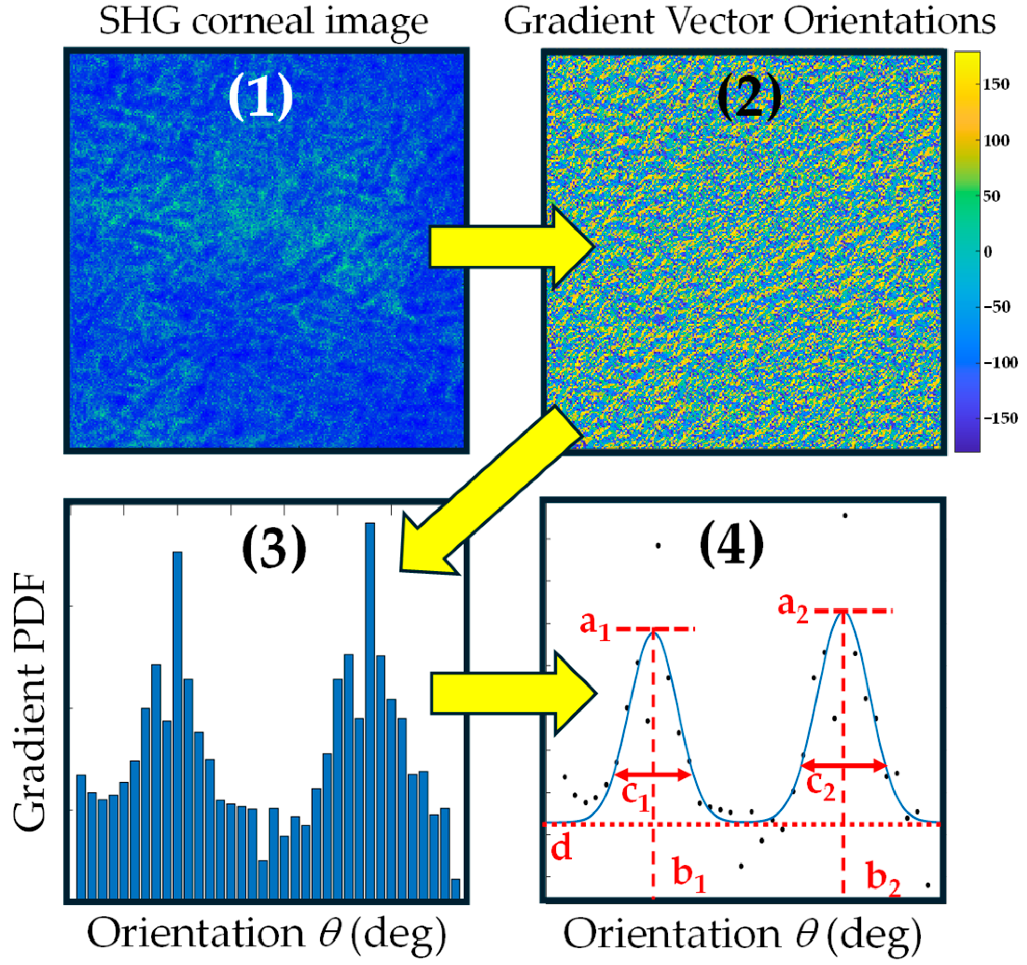 Diagnostics 15 01738 g001