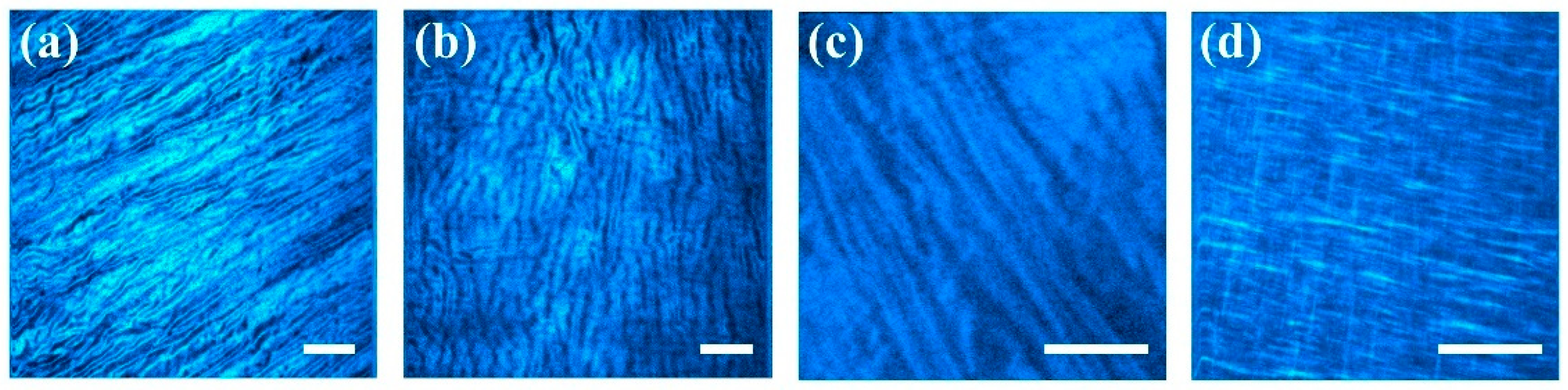 Diagnostics 15 01738 g002