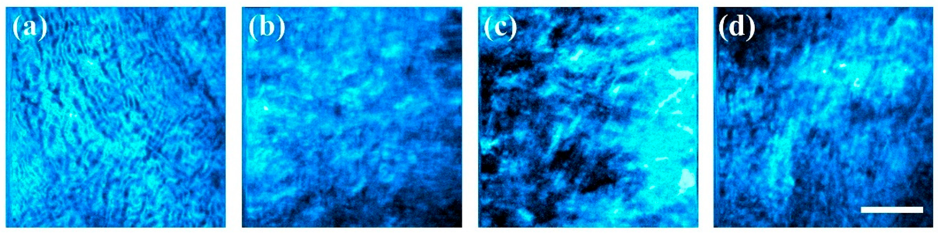 Diagnostics 15 01738 g006