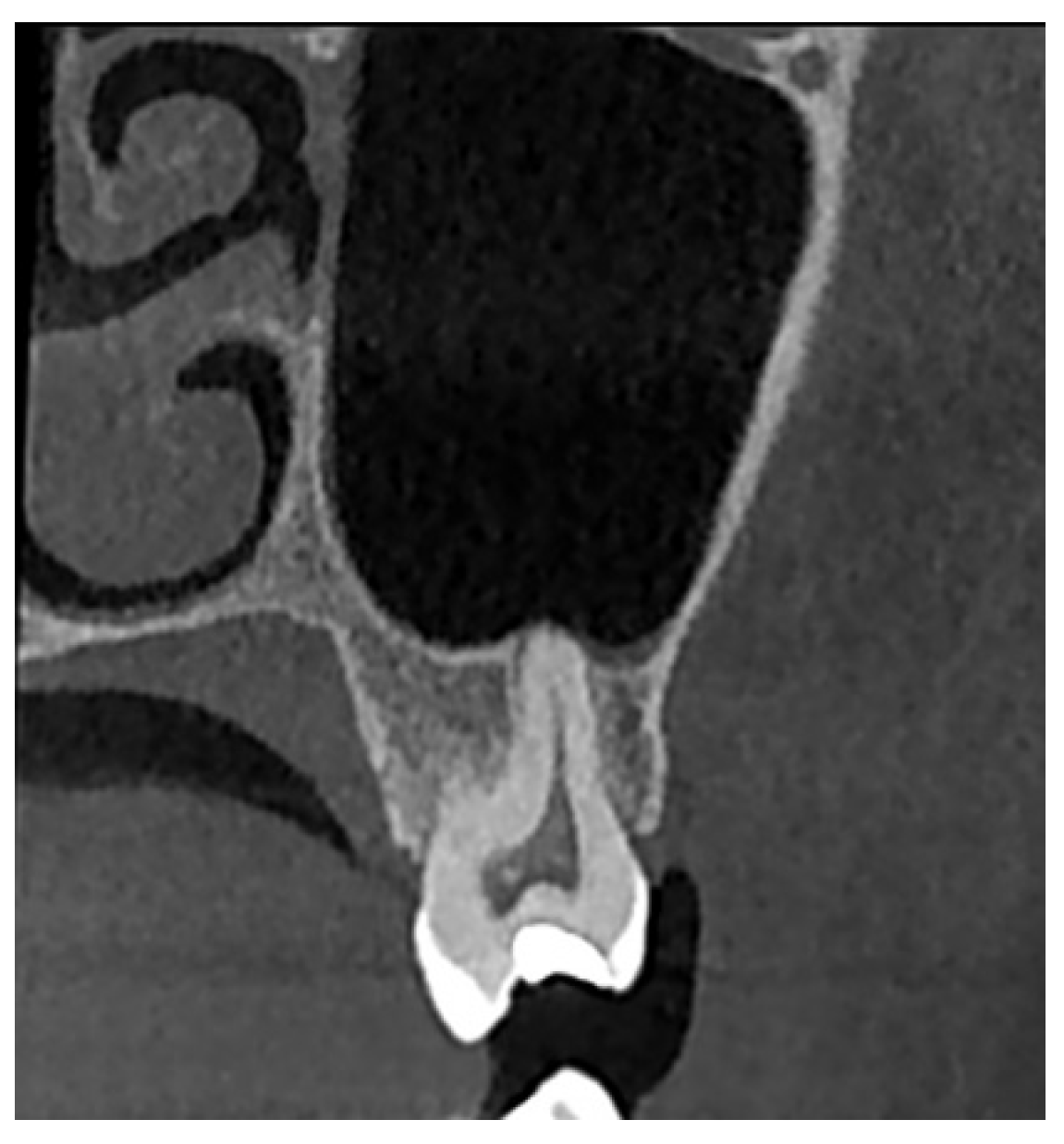 Diagnostics 15 01741 g002