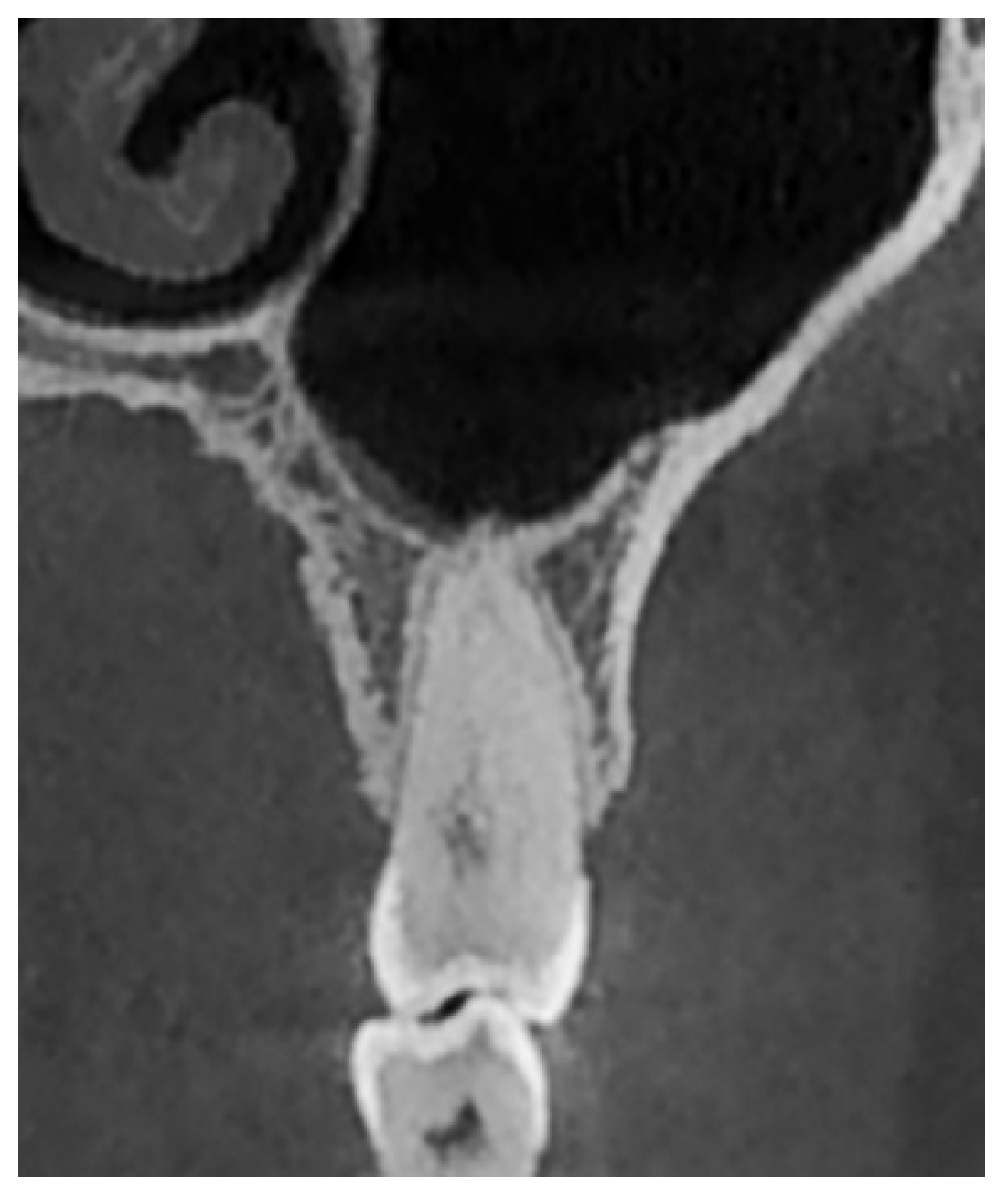 Diagnostics 15 01741 g003