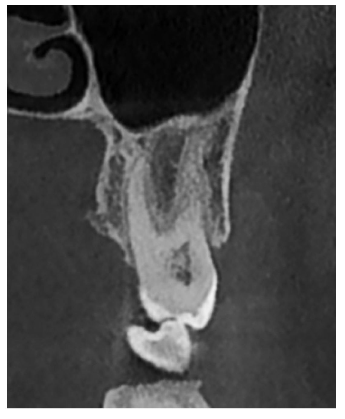 Diagnostics 15 01741 g004